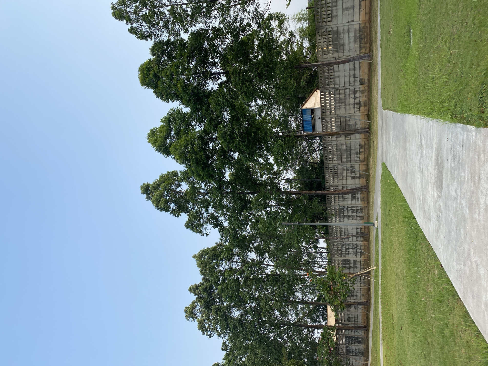 The image depicts an outdoor scene, likely in a park or public space, with a clear sky overhead. In the foreground, a paved pathway curves through a well-maintained grassy area. Tall, mature trees with dense green foliage line the background, creating a natural barrier. Behind the trees, a concrete wall with a decorative pattern of rectangular openings runs horizontally across the frame. A small, simple building with a blue roof is visible behind the wall, partially obscured by the trees. A lamppost stands near the pathway, and a young tree with supporting stakes is planted to the left of the pathway. The overall impression is one of tranquility and order. This scene is located in Ancol, North Jakarta, Indonesia.