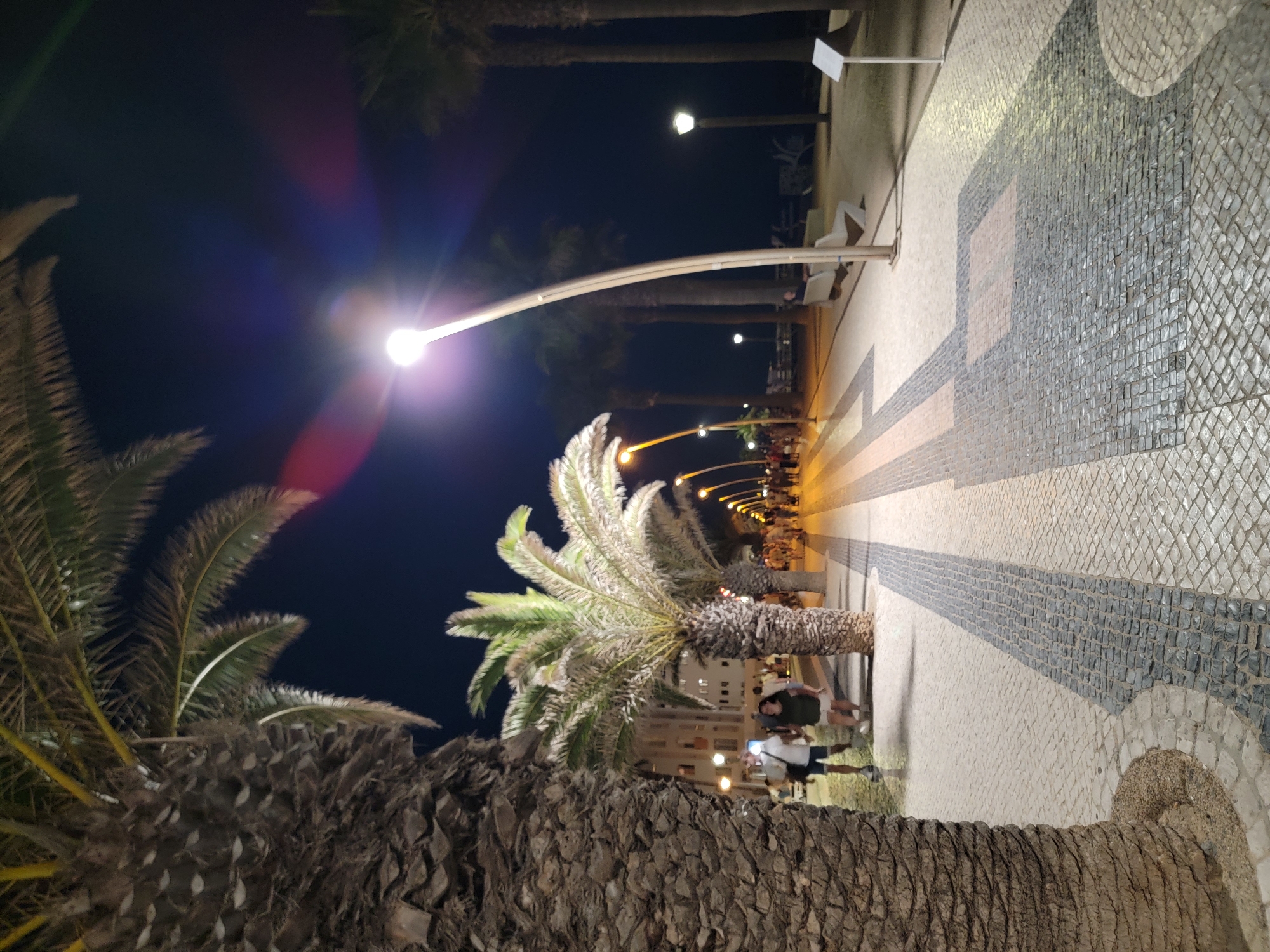 The image depicts a nighttime scene on a paved promenade lined with palm trees. The promenade features a mosaic pattern of light and dark stones. In the foreground on the left, the trunk of a large palm tree is visible. Further down the promenade, several people are walking, and on the right side, there are streetlights and benches. In the background, buildings can be seen. The setting is the Quarteira promenade in Quarteira, Portugal.