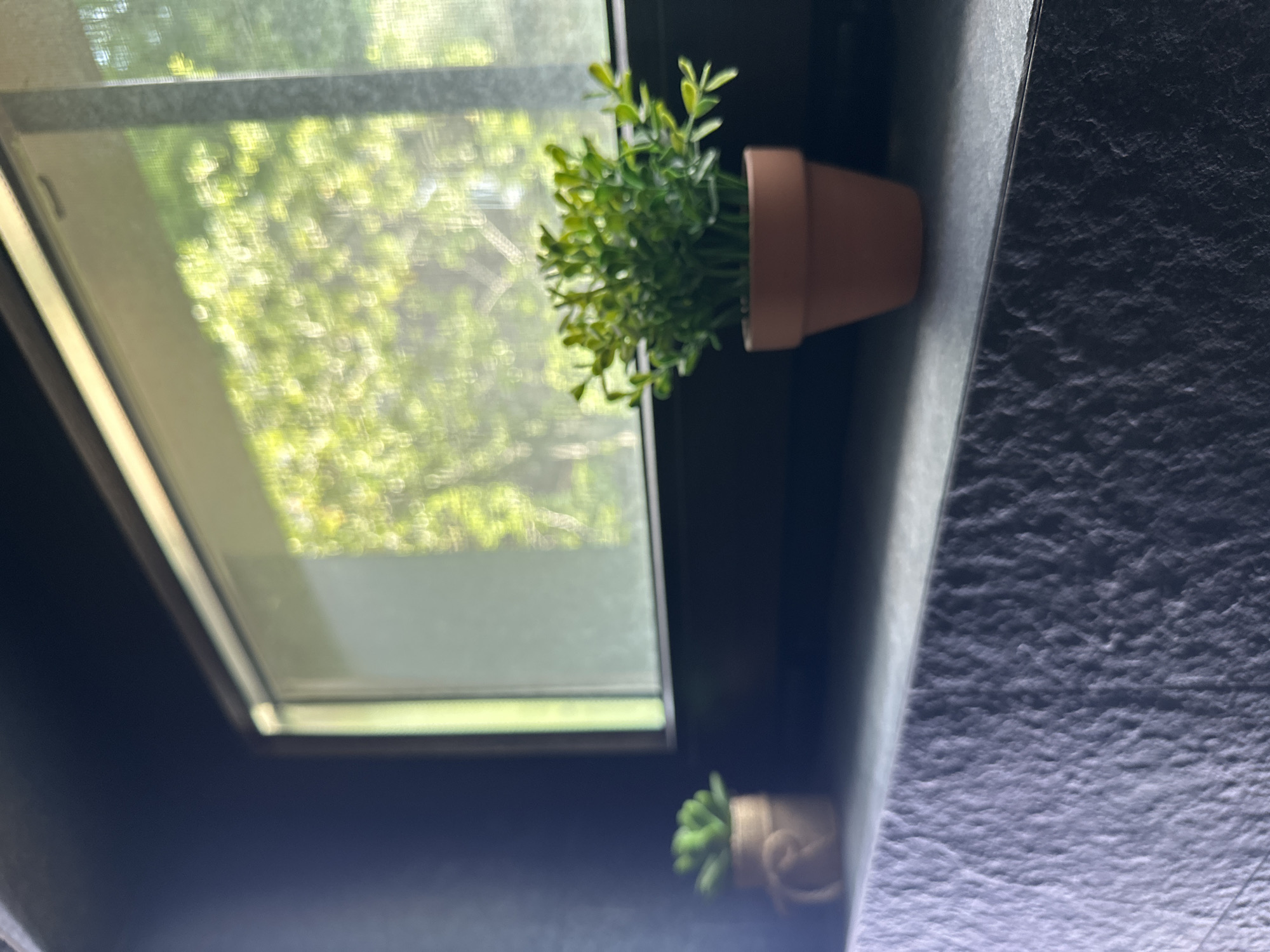 The image shows two small potted plants on a dark gray textured surface in front of a window. The plant on the left is smaller and has a neutral colored pot with a rope detail. The plant on the right is larger and appears to be a bushy green plant in a terra cotta pot. The window behind the plants reveals a blurred view of lush green trees bathed in sunlight. The overall scene is indoors, with the window suggesting a connection to an outdoor environment. The image does not contain any elements that would allow for identification of its location within Sochi, Russia.