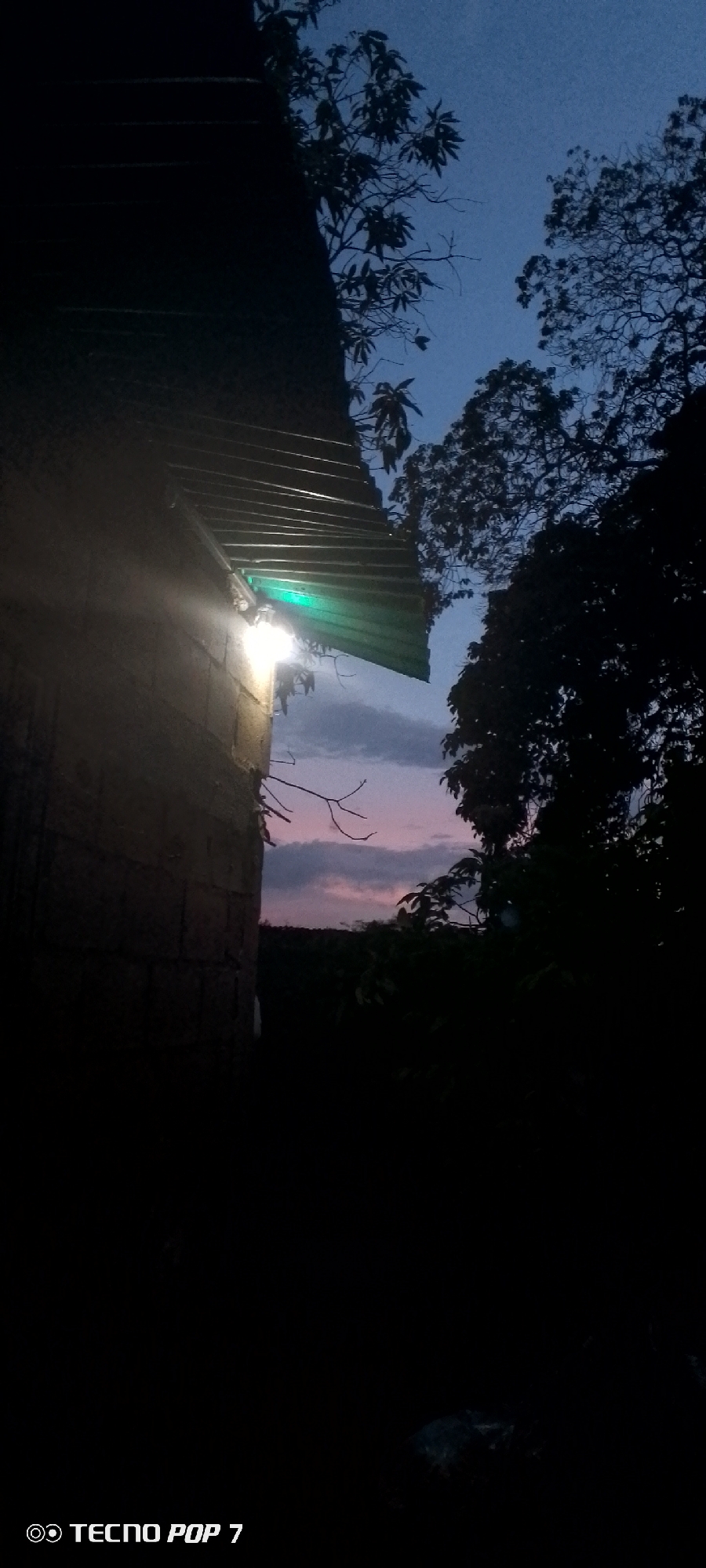 The image shows a close-up of a brick wall with a corrugated metal roof extending outwards, illuminated by a bright light fixture. A portion of the light fixture appears to be emitting a green glow. Branches from a tree are visible, some reaching towards the roof. The background consists of a dusky sky with faint clouds, transitioning from twilight blue to hints of pink near the horizon, over a dark, silhouetted landscape of trees and vegetation. The scene is set in Altagracia, Venezuela, as indicated by the text overlay "TECNO POP 7" which is a phone model and often includes location information or branding. There are no people or animals visible in the frame. The overall impression is one of a dimly lit outdoor scene at dusk or early night, possibly in a semi-rural or residential area.