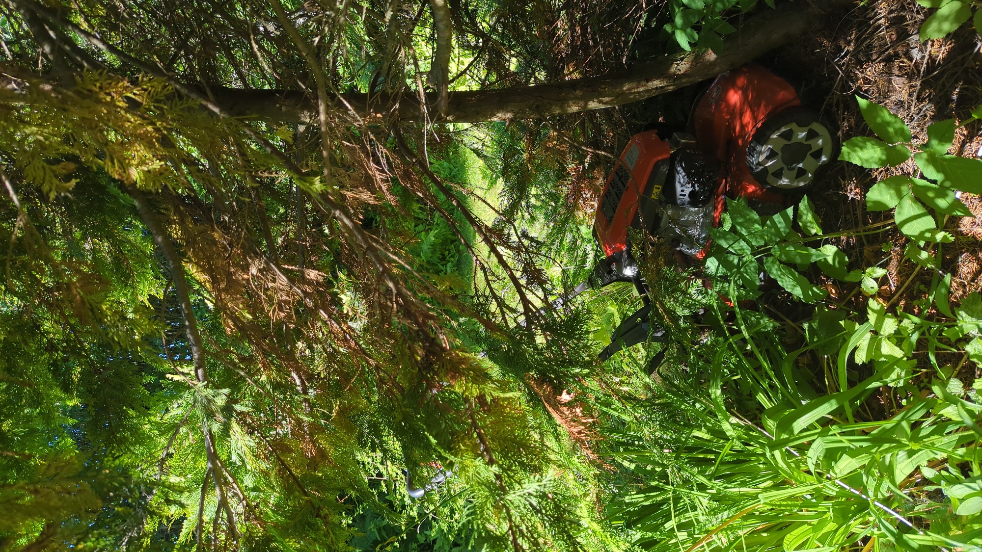 An orange lawnmower is partially obscured by dense foliage and tree branches in a sunlit outdoor setting. The lawnmower, a model with a red body and a silver wheel, is situated among green plants and dry brown leaves. The background shows more greenery and dappled sunlight, suggesting a garden or wooded area. The image appears to be taken in Kløfta, Norway, given the context provided. There are no people or animals visible in the scene.
