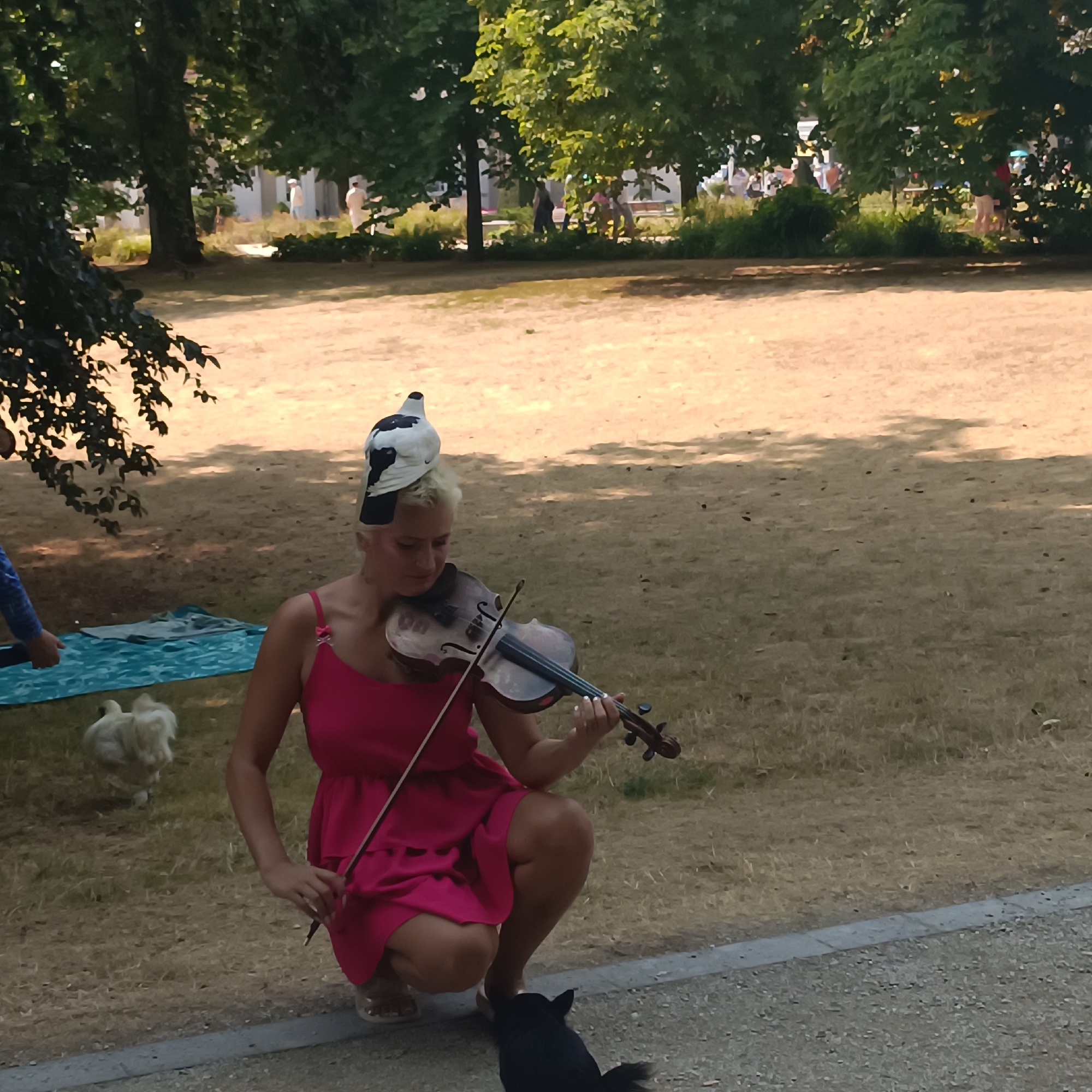 A woman with short blonde hair and a black and white patterned hat is playing the violin while crouching on the dry, grassy ground in a park. The woman is wearing a bright pink, ruffled dress and brown sandals. A small black dog is looking up at her from the edge of a paved path in the foreground. In the middle ground, to the left, a white fluffy chicken is standing on the grass near a blue patterned blanket. The background shows a treelined park with people visible in the distance, and dappled sunlight filtering through the leaves. The scene is likely set in the Sprudelhof in Bad Nauheim, Germany, a well-known Art Nouveau complex with surrounding parkland.