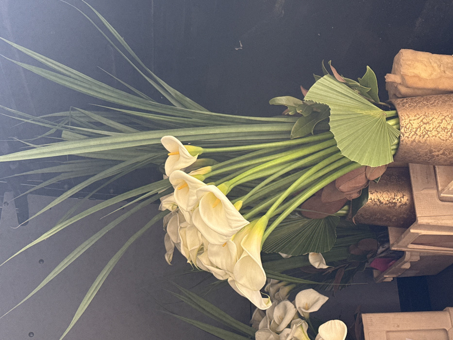 The image presents a close-up, static view of multiple floral arrangements within an indoor environment. The central and dominant subject is a dense cluster of white calla lilies (Zantedeschia aethiopica), each featuring a bright yellow spadix, with their vibrant green stems clearly visible. These lilies are arranged amidst tall, sword-like green foliage that extends upwards and fan-shaped green leaves at the base. Additional reddish-brown foliage is interspersed among the plants.
The primary floral arrangement is housed in a textured, metallic pot, appearing copper or bronze-toned, positioned in the lower right portion of the frame. A second, similar metallic pot is partially visible to the left of the first. Further left, several light-colored, rectangular crates or containers are arranged, one of which contains another grouping of white calla lilies. The background consists of a dark, uniform surface, likely a wall or partition, providing minimal environmental detail. No individuals are present. The scene is illuminated by direct light, emphasizing the details of the flowers and foliage against the deep background. The image contains no explicit visual markers to identify a specific location within Paris, France.