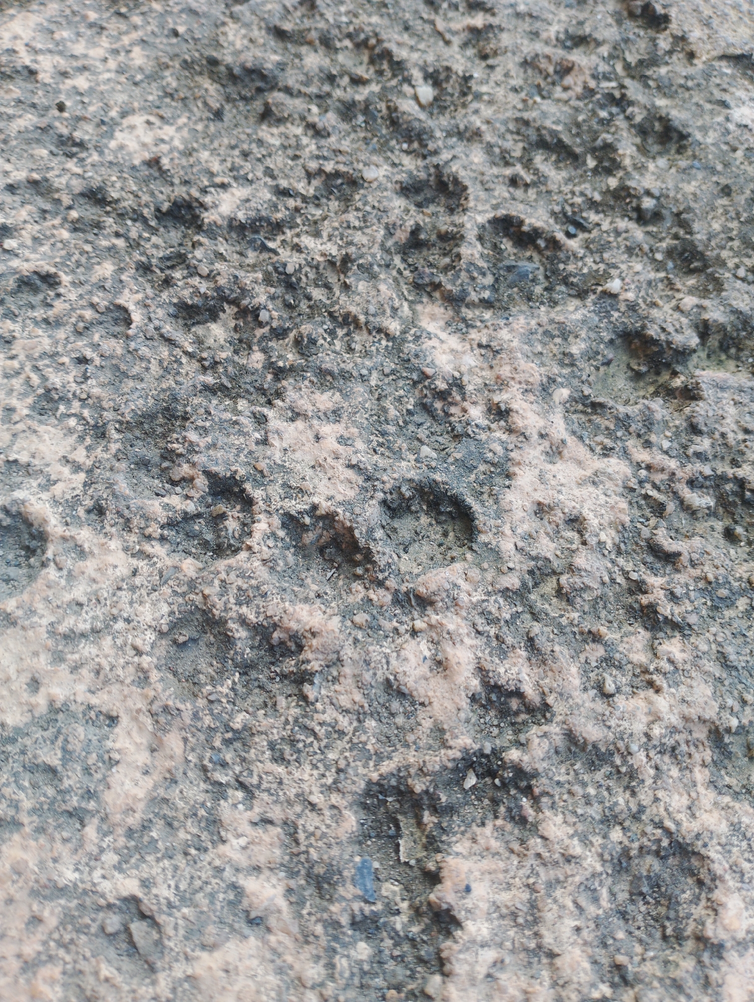 The image displays a close-up, abstract view of a rough, textured surface, likely concrete or a similar aggregate material. The surface is uneven, with various shades of grey, beige, and black, interspersed with small, gritty particles. Some areas appear smoother and lighter, while others are darker and more deeply pitted, suggesting wear and erosion. There are no discernible people, objects, or actions visible. The context of Batulicin, Indonesia, is not visually represented in the image itself.