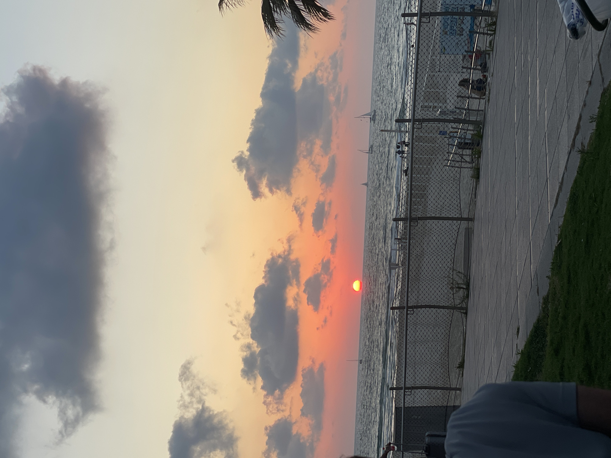 The image captures a sunset over the Mediterranean Sea in Herzliya, Israel, viewed from a paved promenade. The sky transitions from light grey-blue at the top to vibrant orange, red, and yellow hues near the horizon, with several scattered dark grey clouds. The sun, a distinct, bright orange-red orb, is positioned low over the ocean, slightly right of center. The sea surface is dark blue-grey with visible waves. At least five sailboats with white sails are visible on the water, silhouetted against the bright sky.
A sandy beach runs along the coastline, separated from the promenade by a dark chain-link fence with metal posts. Small groups of people are present on the beach, some near the water's edge. A blue and white sign is visible on the beach to the right. The foreground consists of a wide, dark grey paved promenade made of square concrete slabs, bordered by a strip of green grass on the left. The back of a person wearing a light blue short-sleeved shirt is visible in the lower-left foreground, holding a dark bag. A portion of a palm tree with dark fronds is visible on the far right. The scene is illuminated by the low-angle light of the setting sun, casting warmer tones on the sky and sea, and shadows on the foreground elements.
