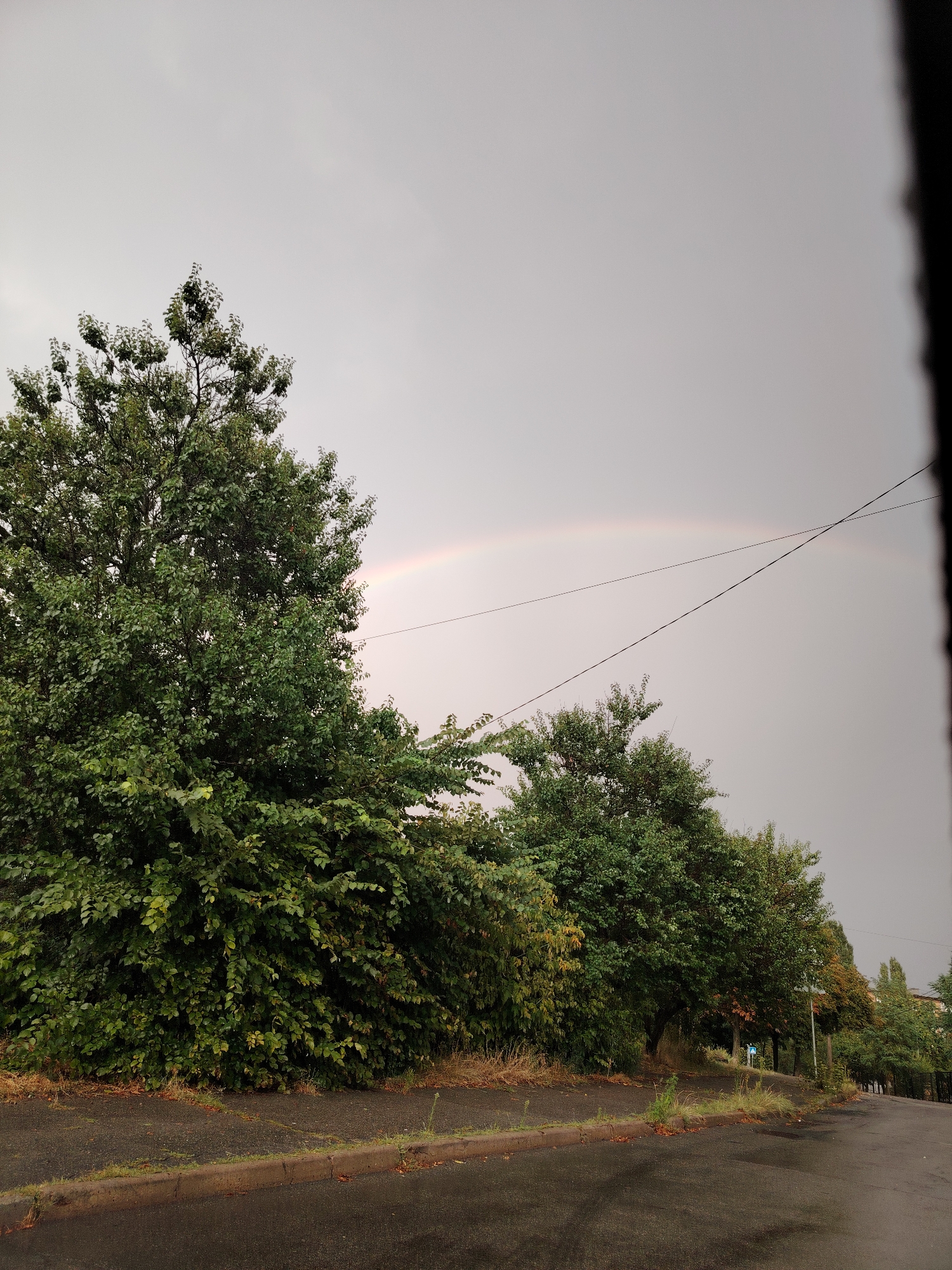 The image shows a street scene in Kyiv, Ukraine, under a cloudy sky. A faint rainbow is visible in the distance. On the left side of the image, a large, lush green tree dominates the foreground, casting a shadow. Adjacent to it, a line of smaller trees and bushes extends along the side of a paved road. The road surface appears wet, suggesting recent rain. Power lines are strung across the sky, intersecting over the scene. The overall atmosphere is overcast and somewhat subdued.