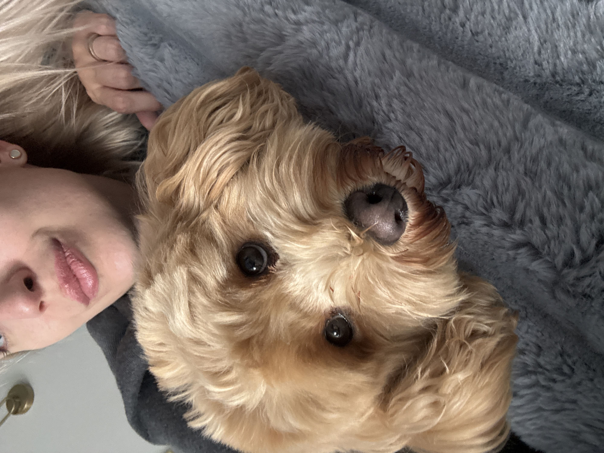 A woman and a light brown dog are lying on a gray fuzzy blanket. The woman's face and blond hair are visible on the left side of the image. The dog's face is in the center, with its eyes looking directly at the camera. The background is blurry.
There is no evidence that this photo was taken in the city of Saratov, Russia.