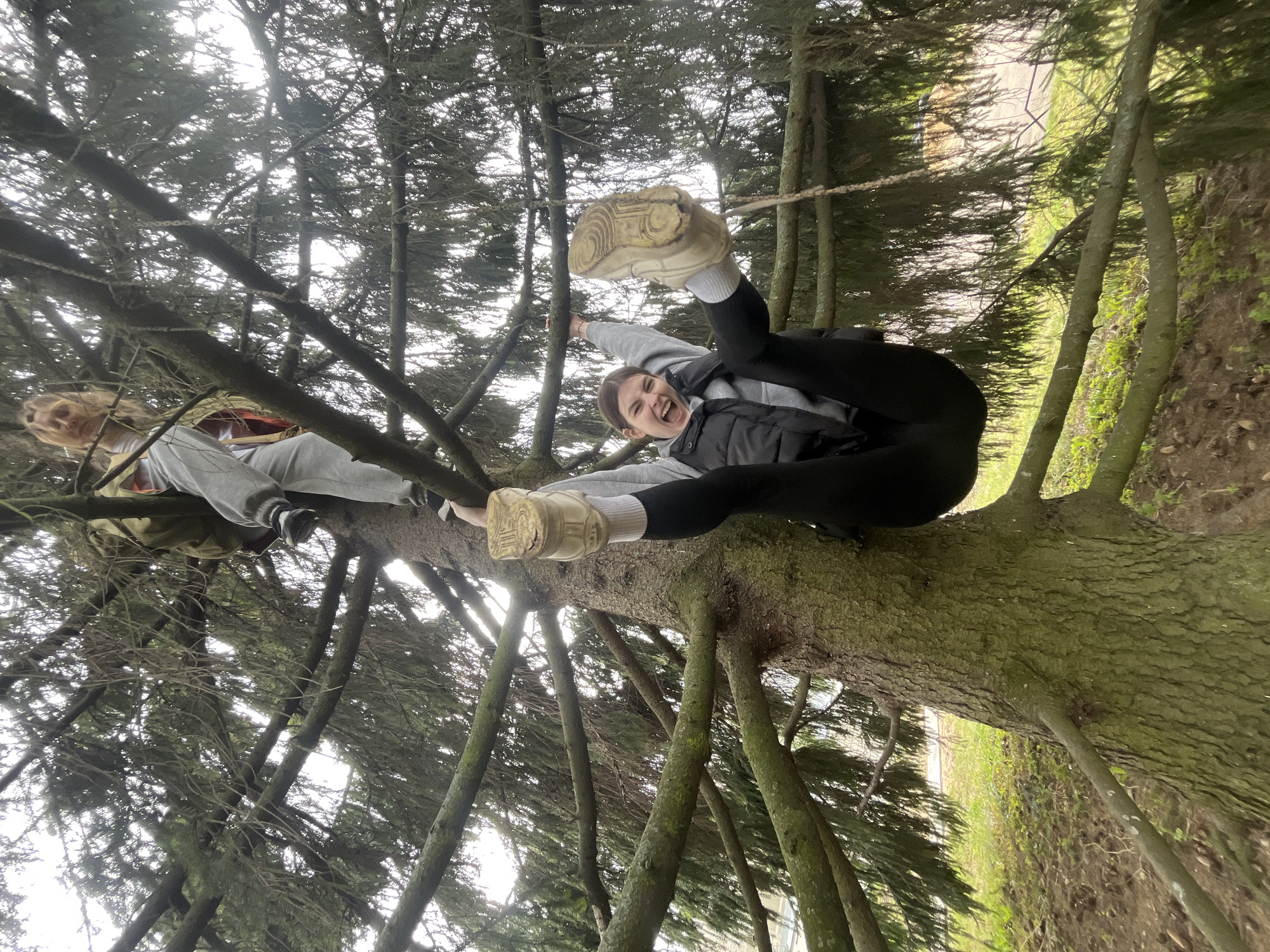 Two individuals are positioned within a tree. One person sits on a branch, while the other is suspended upside down from a higher branch, with their legs extended and resting on a lower branch. The person upside down appears to be smiling and making eye contact with the camera. The background consists of dense tree foliage and a partially visible landscape. The location appears to be in Saint Petersburg, Russia.