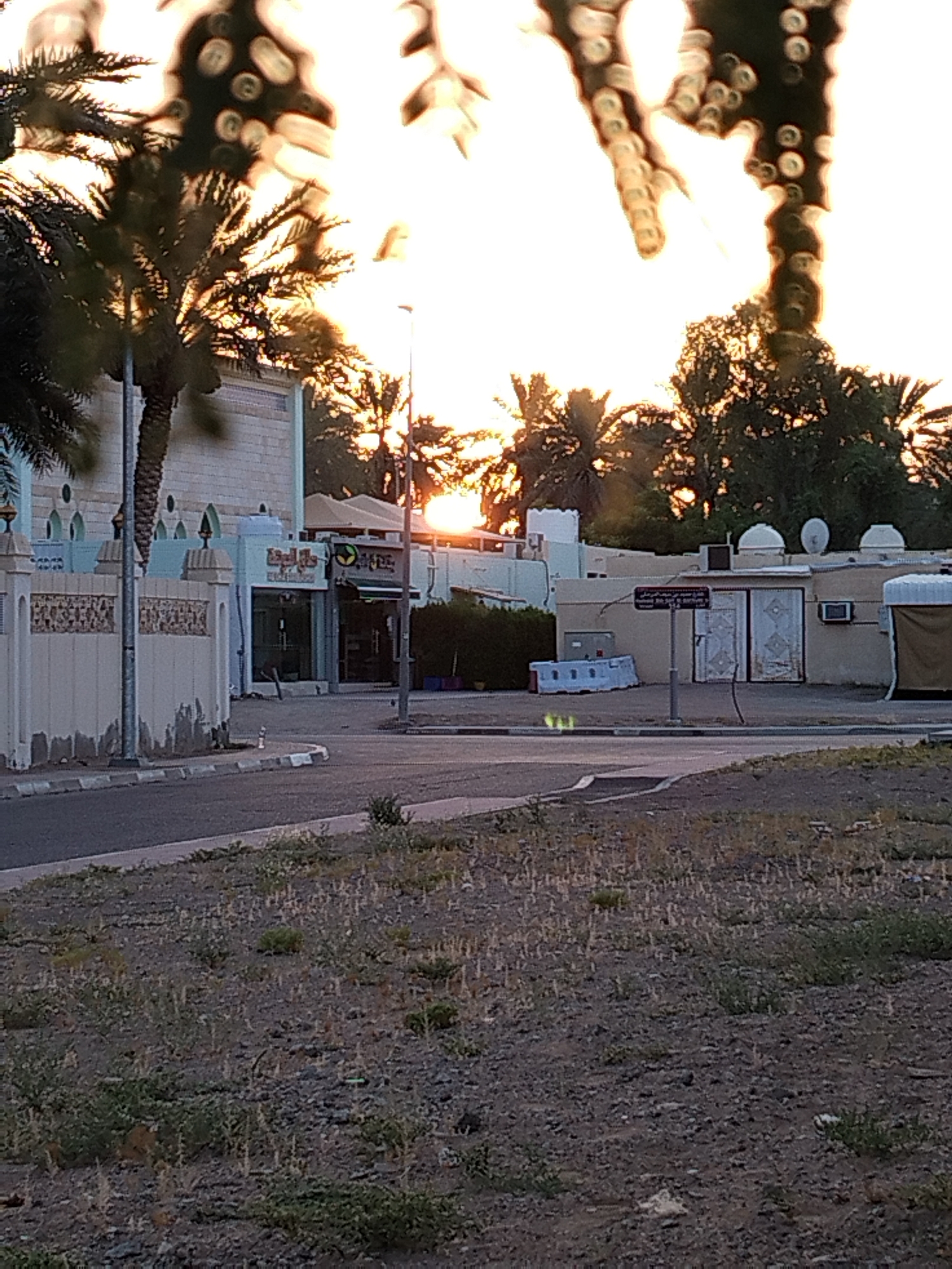 The image depicts a street scene in Al Mas'oudi, United Arab Emirates, during sunset. The foreground shows a dusty, unpaved area with sparse vegetation and a paved road curving to the left. In the midground, a beige-colored building with white domed roofs and satellite dishes is visible. A metal sign with Arabic writing is mounted on a pole in front of the building. Adjacent to this building is a lighter-colored structure with decorative fence posts and arched openings. A business with Arabic signage is located within this structure. Palm trees are prominent throughout the scene, with their fronds silhouetted against the bright, hazy sky where the sun is setting, casting a warm glow. The overall impression is that of a quiet, arid urban environment.