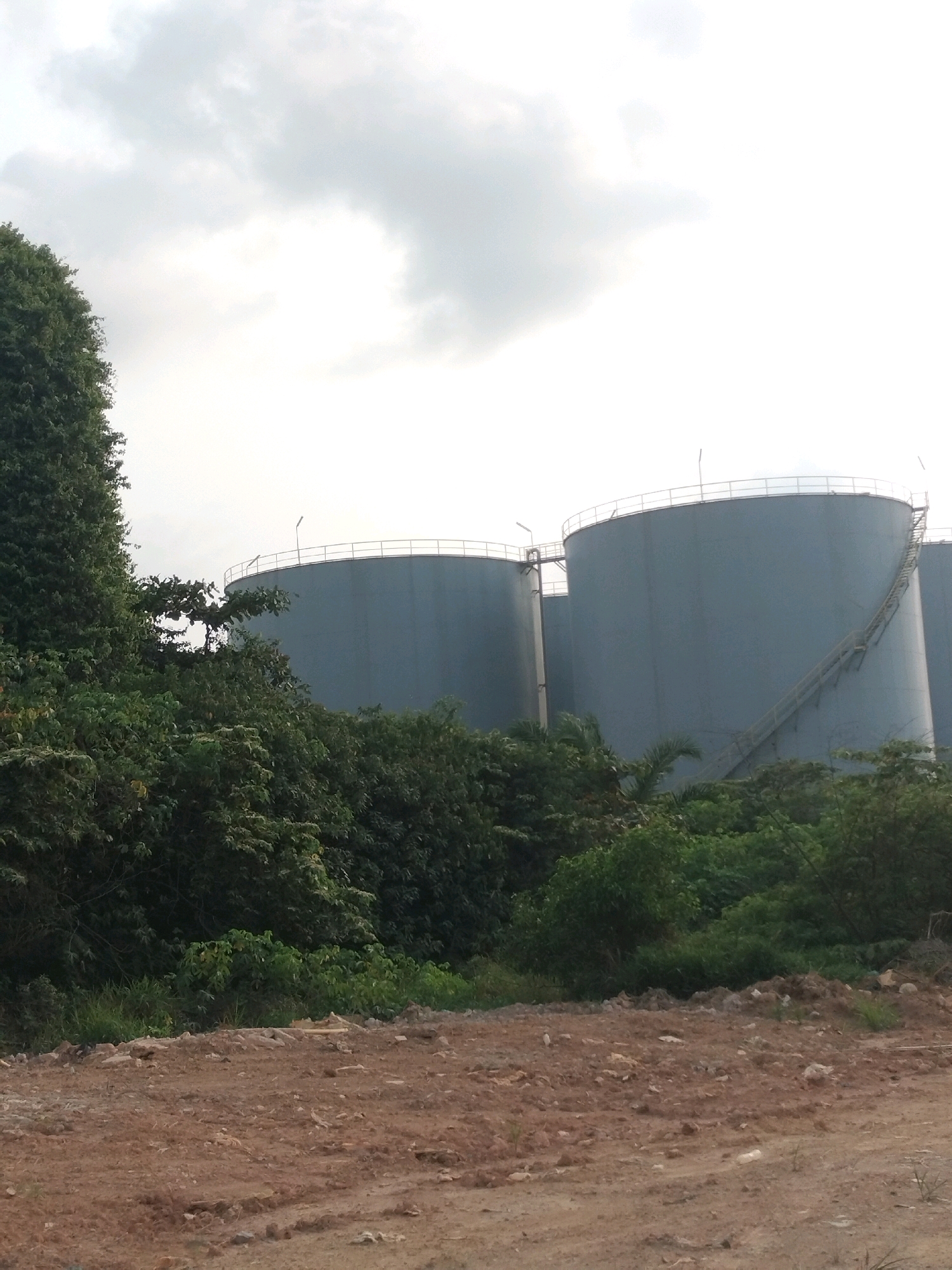 The image shows a landscape with large industrial tanks, likely oil or water storage, in the background. The tanks are cylindrical and painted a muted blue-gray color. One tank has an external staircase ascending its side. In the foreground, there is an area of cleared land with exposed reddish-brown soil and scattered rocks, suggesting ongoing construction or development. Lush green trees and vegetation are visible between the foreground and the tanks, creating a contrast between the natural environment and the industrial structures. The sky is overcast with diffused light. The scene appears to be in an industrial or semi-industrial area on the outskirts of a city, possibly near a port or a manufacturing zone.
This scene is consistent with areas in Batam, Indonesia, known for its industrial development, including large-scale manufacturing and logistics operations, particularly in zones like those around the port facilities.
