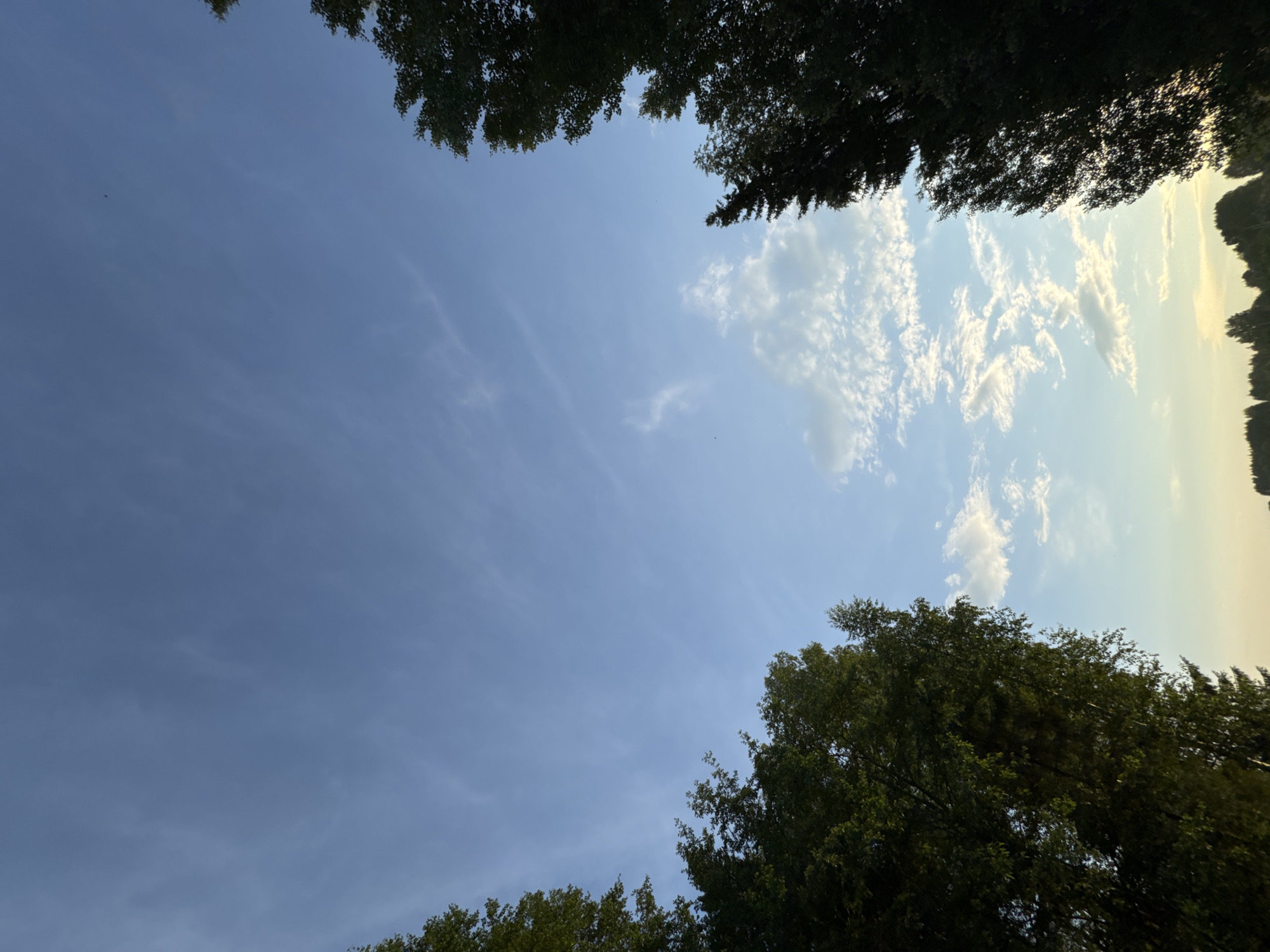 The image captures a view of the sky above a treeline. The sky is a light blue with scattered white clouds, some appearing wispy and others more textured. Sunlight is visible, casting a warm glow towards the horizon. Silhouetted against the sky is a dense line of trees, likely forming a forest edge or a park. There are no people, animals, or man-made structures clearly visible in the scene. The overall impression is one of a natural landscape under a partly cloudy sky. The location of Вассята, Russia is not discernible from the image itself.