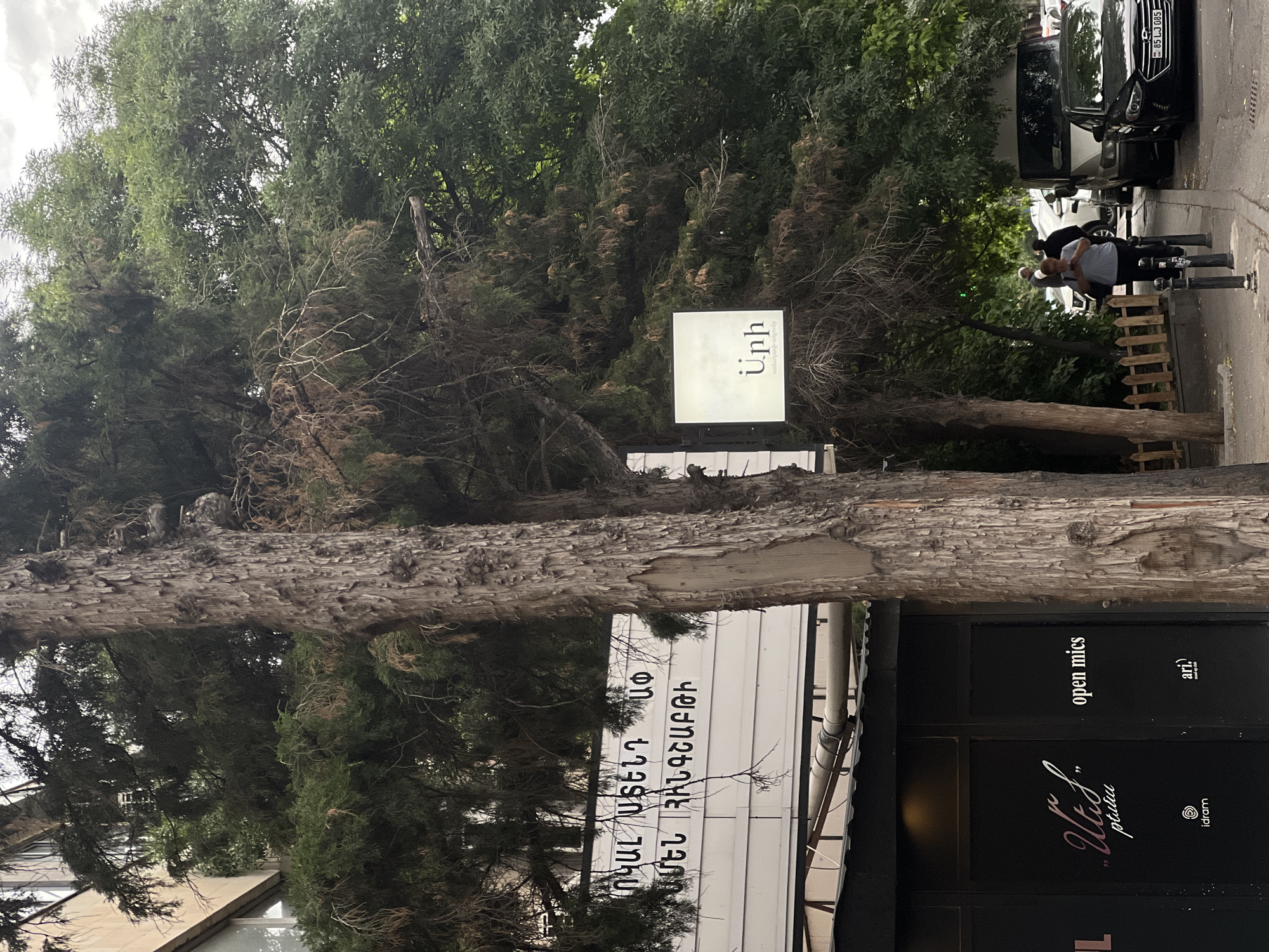 The image shows a street scene in Yerevan, Armenia. A large tree dominates the foreground. Behind the tree are several signs. One sign has the word "Unh" and Armenian text below it. Another has Armenian text, the words "Utis" and "open mics", and the logos for "idram" and "ari". A black car is parked along the curb, and two people are standing nearby. A short wooden fence is also visible near the sidewalk. The license plate number on the car reads "85 LJ 085".