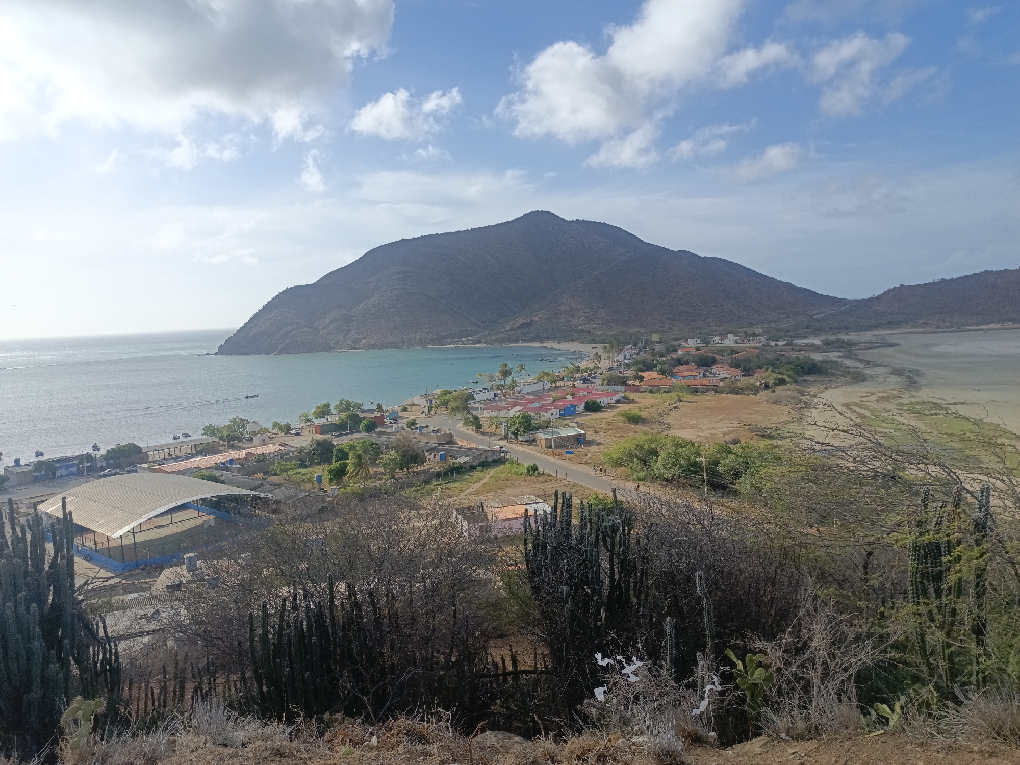The scene depicts a panoramic view of Juan Griego, Venezuela. In the mid-ground, a densely populated area of buildings with red and blue roofs is nestled along the turquoise coastline. A small beach is visible. A large, dark mountain dominates the background. In the foreground, arid vegetation including cacti and dry scrub covers the hillside. The sky is blue with scattered clouds. A body of water, possibly a lagoon or inlet, lies to the right, separated from the ocean. No people are clearly visible.