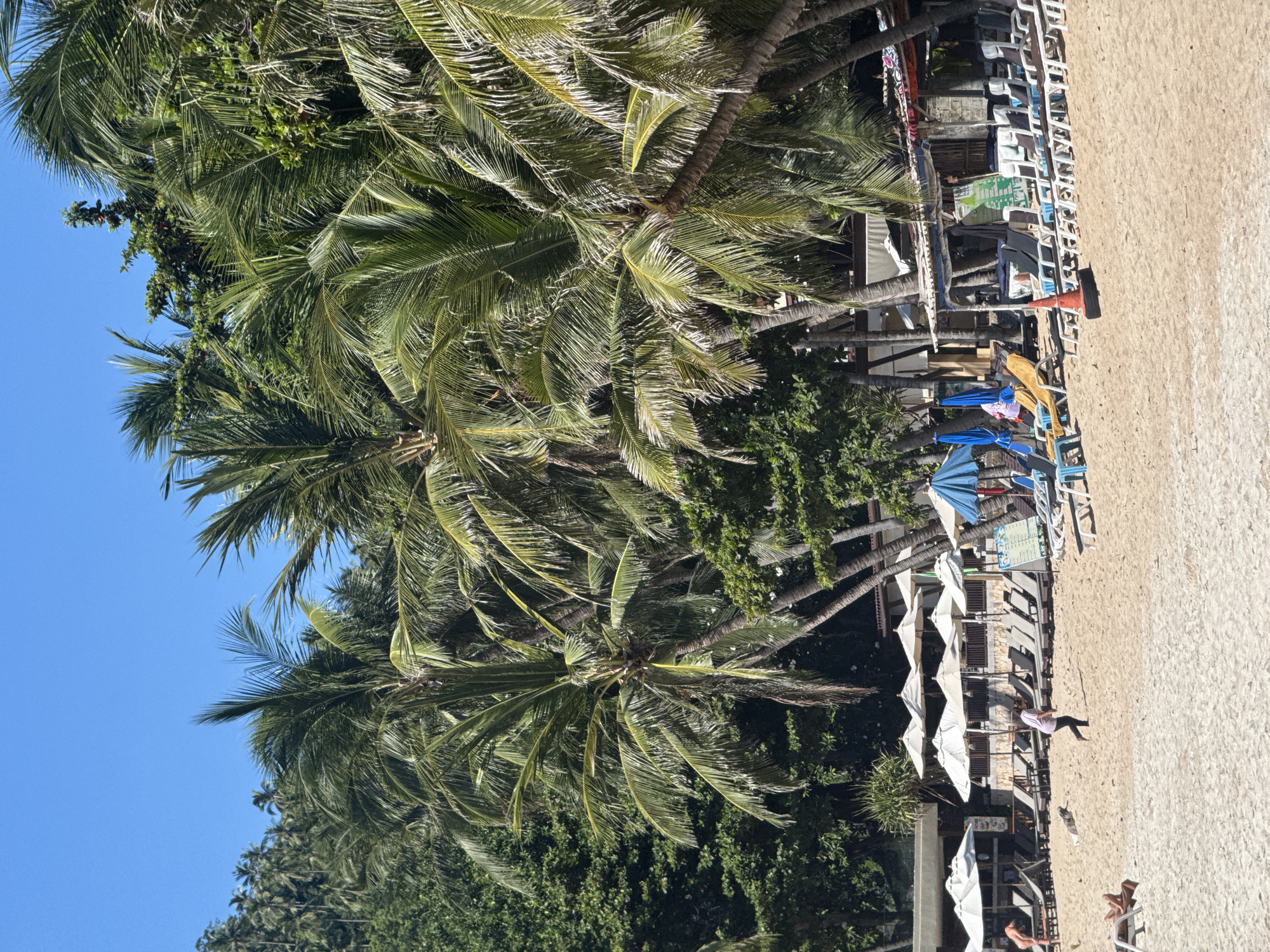 The image depicts a sandy beach lined with rows of lounge chairs and umbrellas, typical of a tourist area in Baan Chaweng Noi, Thailand. Lush green palm trees and other tropical vegetation form a dense backdrop behind the beach infrastructure. In the mid-ground, a person in a purple shirt and black pants is walking across the sand, while other individuals are visible in the distance, some seated on lounge chairs. The scene suggests a leisurely day on a tropical beach, with the clear blue sky indicating fair weather. The presence of a small food stall or bar on the right side further enhances the impression of a developed resort or beachside community.