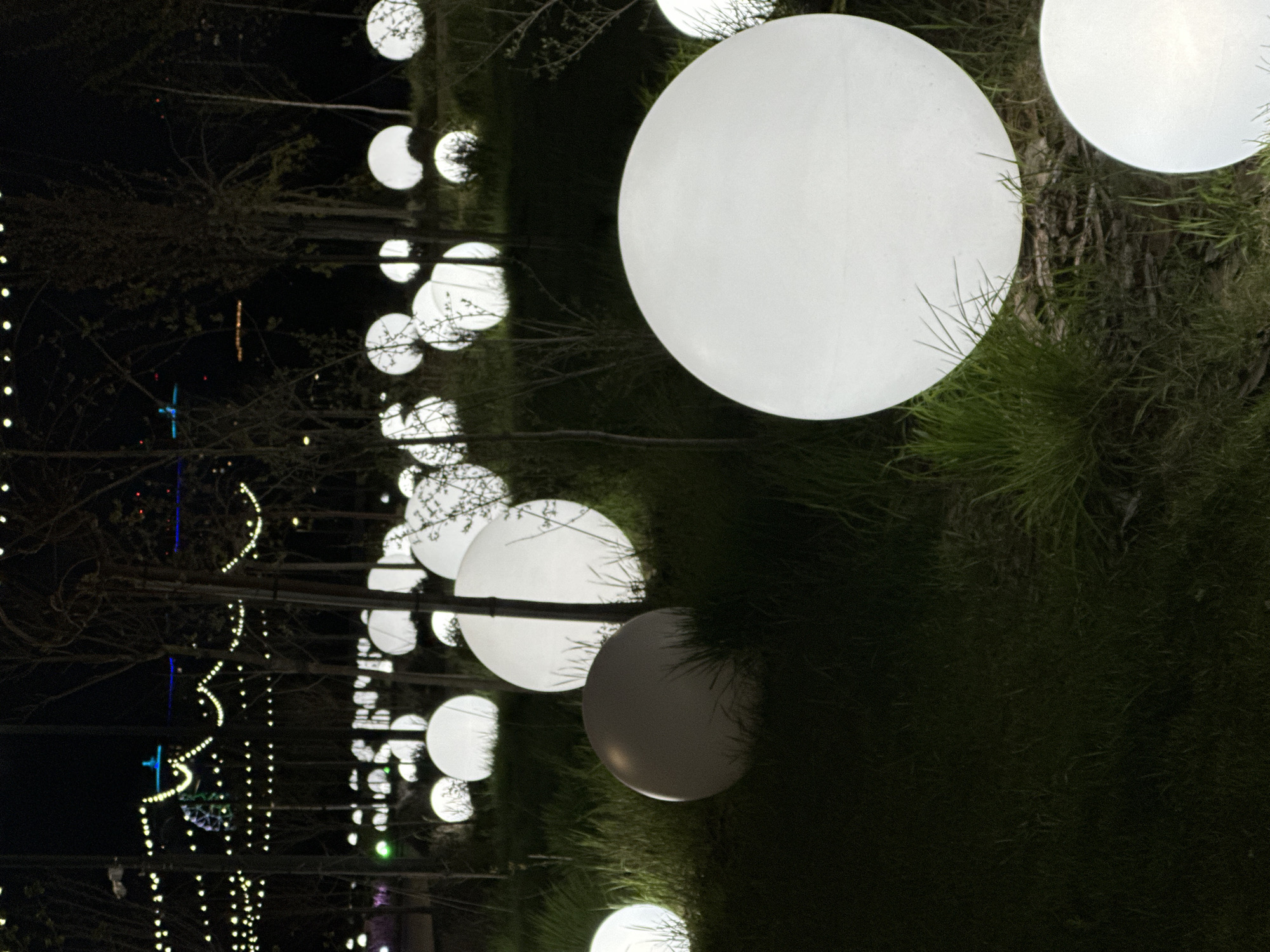 A row of spherical white lights illuminates a dark outdoor setting in Ovoshchnoy, Russia. The spheres are of varying sizes and arranged in a line, some surrounded by patches of grass. Bare trees are visible above and behind the lights, with decorative string lights in the background. The overall scene suggests a nighttime park or garden setting.