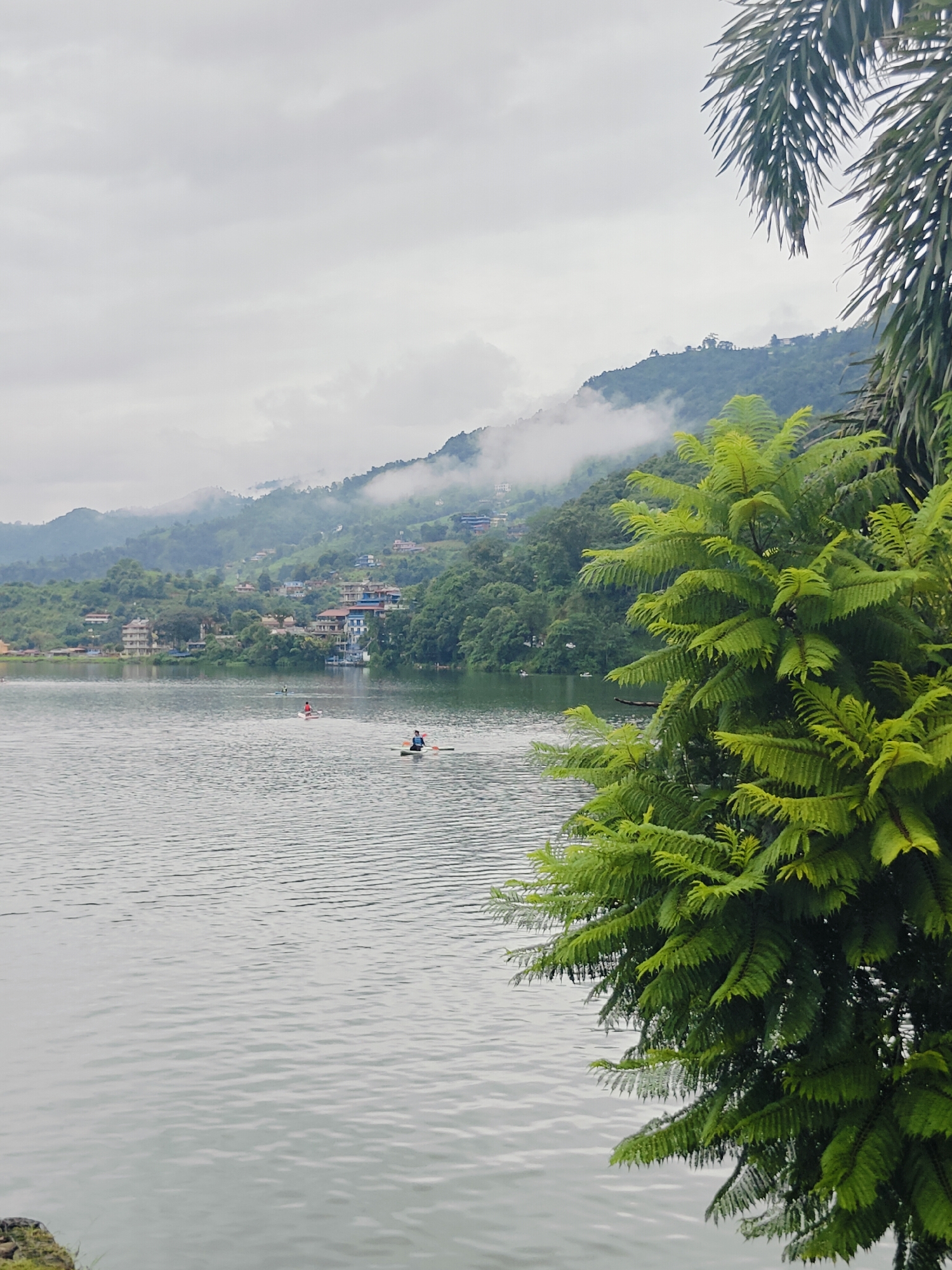 This image depicts a serene view of Phewa Lake in Pokhara, Nepal. The foreground is dominated by lush green foliage, including a large fern and palm fronds, obscuring the left edge of the frame. The lake's surface is calm, with gentle ripples reflecting the overcast sky. In the mid-ground, two individuals are engaged in paddleboarding. One person, wearing a red top, is further from the viewer on a white board, while another, in a blue and white shirt, is closer, paddling a white board. The background features a verdant hillside dotted with houses and buildings, with a misty cloud layer partially shrouding the upper slopes. The overall atmosphere is tranquil and scenic, characteristic of Pokhara's natural beauty.