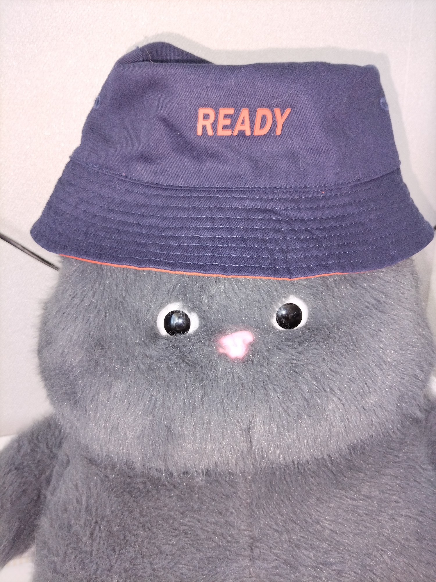 A stuffed gray cat wearing a dark blue bucket hat with "READY" in orange letters is the subject of the image. The cat's pink nose and black eyes are visible. The background is a textured, off-white surface. The image is a close-up shot, filling the frame with the cat and its hat. The location is not specified in the image or its context.