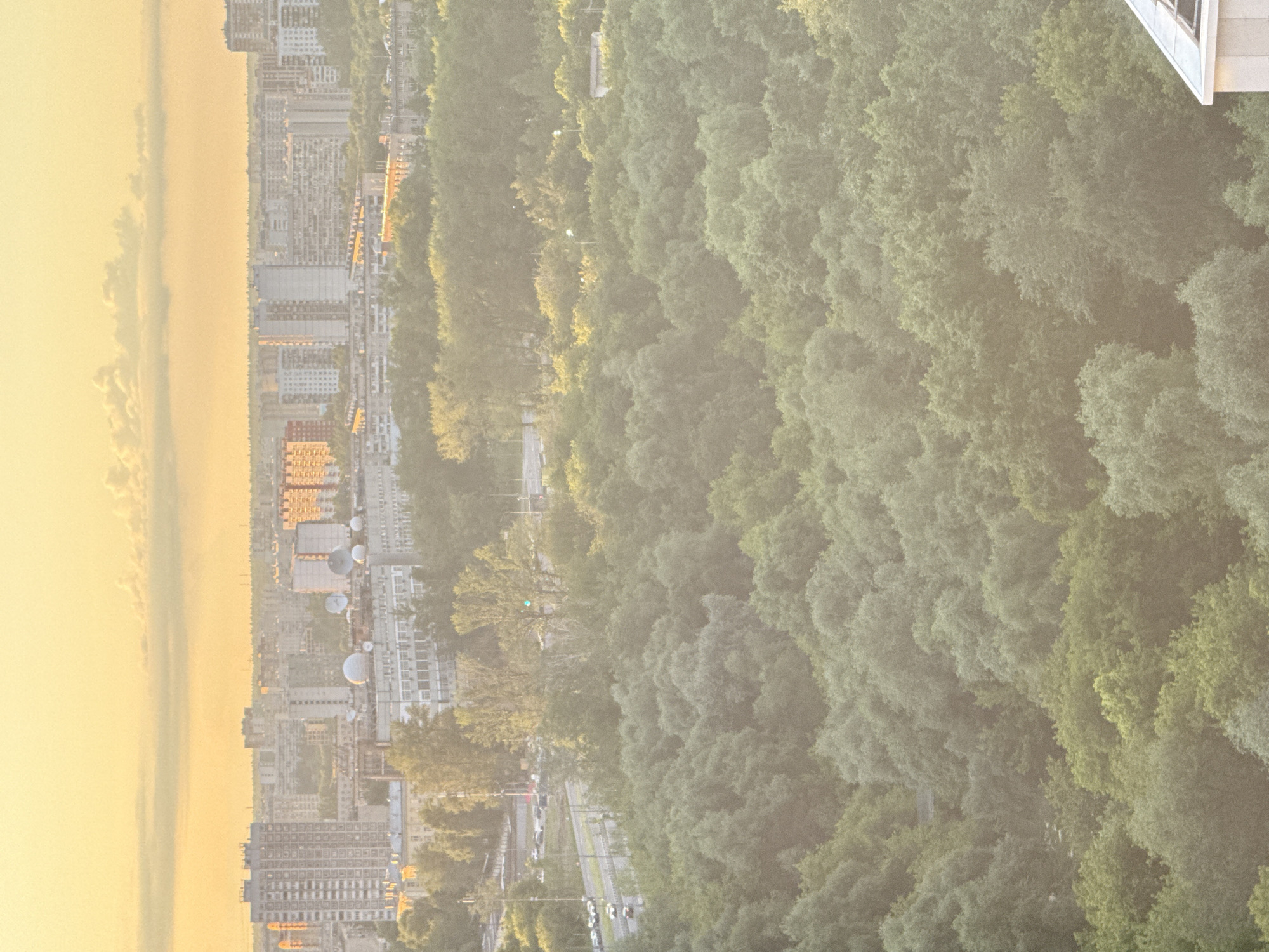 The image shows an aerial view of a city with a dense forest in the foreground. The city appears to be Dolgoprudny, Russia, with its characteristic tall buildings and a hazy, warm sky, likely due to sunset or sunrise. The forest, predominantly composed of green deciduous trees, occupies the lower half of the frame, obscuring much of the city's lower levels. A road with several cars is visible on the left side of the image, bordering the forest. The sky is a gradient of pale yellow and orange, with wispy clouds. The overall impression is of an urban landscape encroached upon by nature, bathed in soft, warm light.