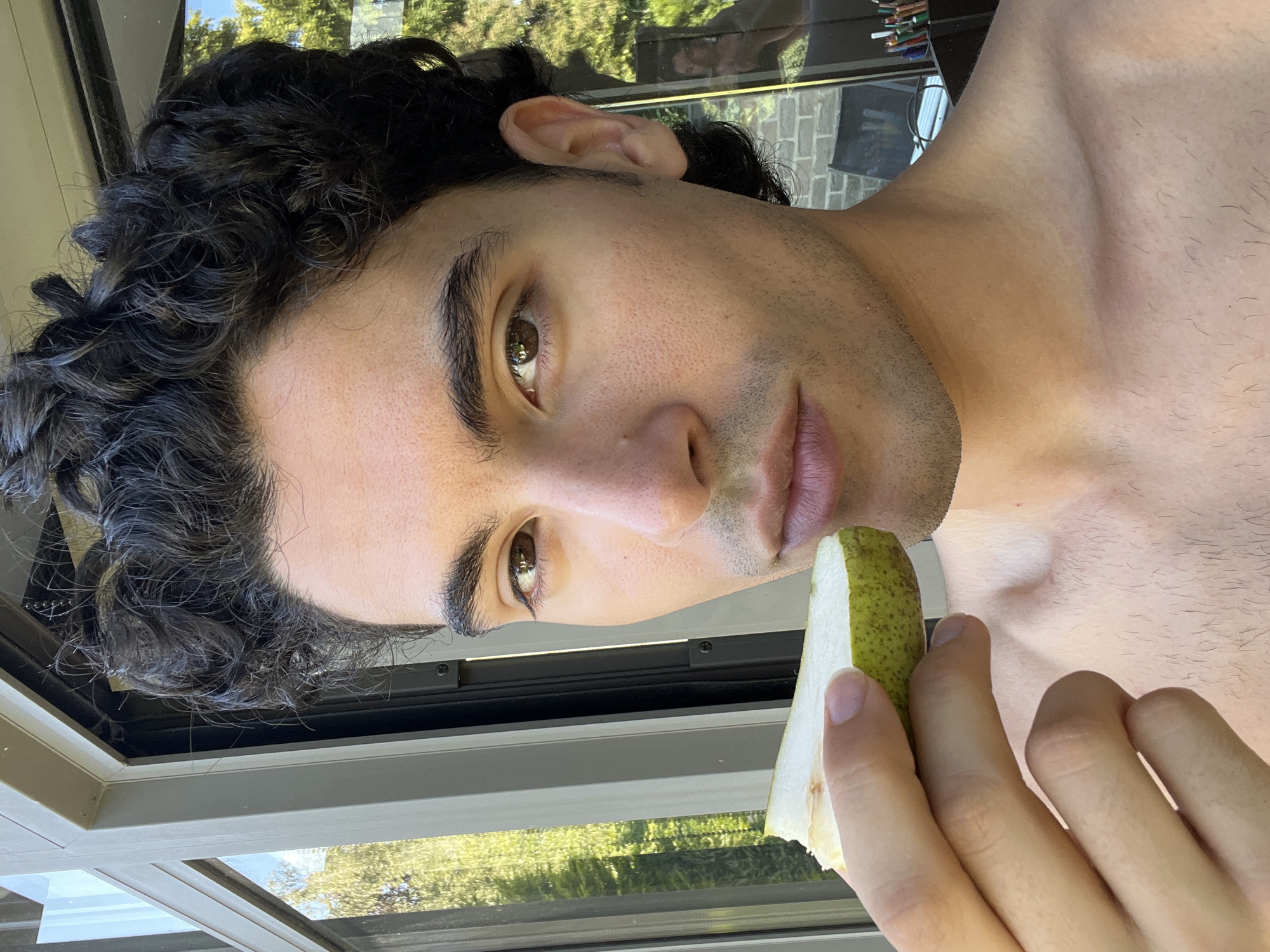 A close-up, chest-up, outdoor, selfie-style photograph shows a young person with dark, curly hair holding a slice of green pear to their mouth. The person's face is turned slightly to the right, and their gaze is directed towards the camera. They are shirtless, and their shoulders and collarbone are visible. The background features a large window with reflections of greenery and trees, suggesting an outdoor setting adjacent to a building. The lighting indicates it is daytime, possibly late afternoon due to the warm tones. The environment appears to be a residential area, with the foliage suggesting a garden or park visible through the window. There is no indication of the specific location within Rotheux-Rimière, Belgium.