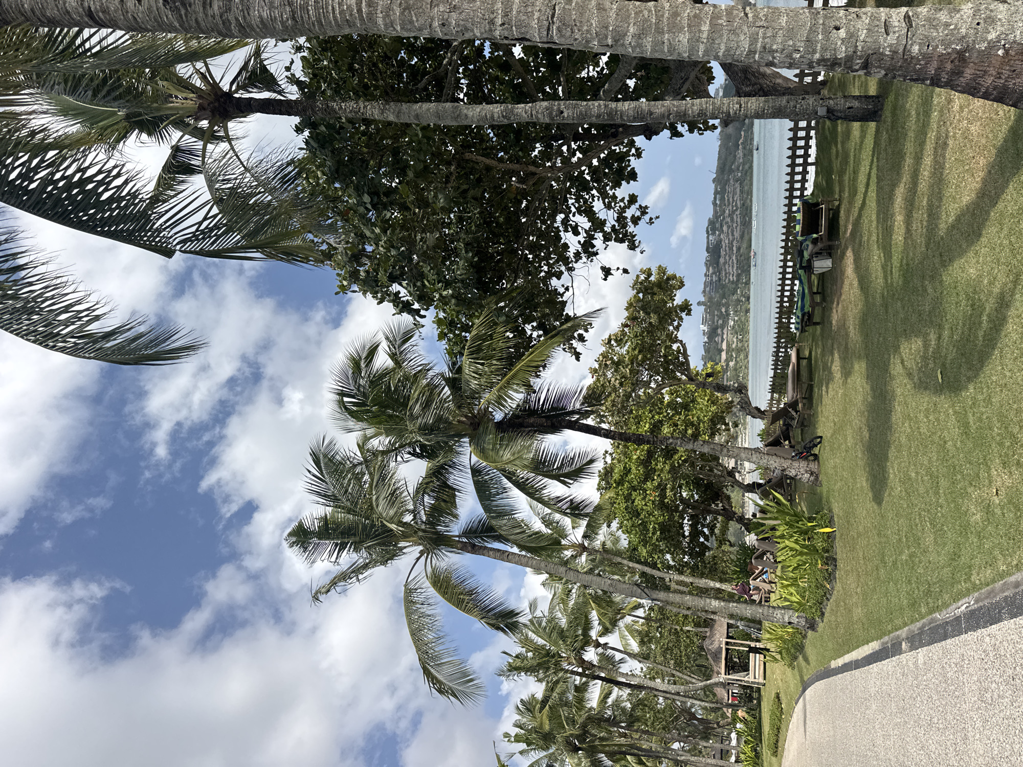 The image depicts a tropical resort scene with numerous palm trees lining a grassy area. A paved walkway curves through the foreground. In the mid-ground, several lounge chairs are arranged on the lawn, some with striped cushions. A small wooden gazebo with thatched roofing is visible to the left, with a person standing near it. To the right, a black bicycle with a red frame is parked next to a palm tree. Beyond the lawn, a wooden fence separates the area from a body of water, on which several boats are visible. In the background, buildings are situated on a hillside overlooking the water. The sky is blue with scattered white clouds. This scene is consistent with the ambiance of a beach resort in Kuta Selatan, Indonesia, likely a location such as the Bali Collection area, known for its upscale resorts and beachfront amenities.