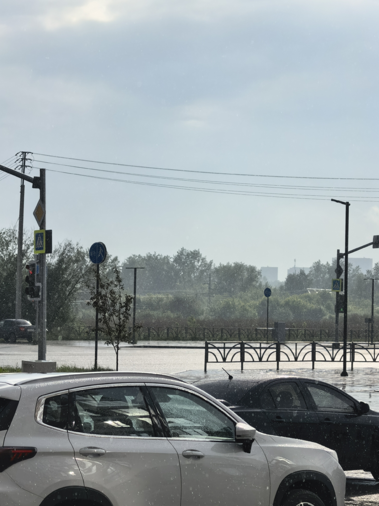 The image captures an urban street scene during rainfall, characterized by visible water droplets in the air and extensive puddles on the road, reflecting the overcast sky. In the foreground, the passenger side of a white SUV, covered in water droplets, is positioned on the left. Adjacent to it on the right, the rear portion of a black sedan, also wet, is partially visible. The midground features a wide, reflective street heavily covered in standing water, bordered by a dark, decorative metal fence with arched patterns. Multiple utility poles and signage are present. A pole on the left displays a yellow diamond-shaped priority road sign, a blue square pedestrian crossing sign, and a red traffic signal. Another pole in the center features a blue circular sign indicating a shared pedestrian and bicycle path. A third pole on the right side of the frame holds a blue square pedestrian crossing sign and a green traffic signal. Overhead power lines span across the upper midground. The background consists of a dense band of green trees, beyond which two indistinct, light-colored building structures are visible against a hazy, light blue-grey sky. No individuals are present. The location is in the city of Unknown, Unknown.