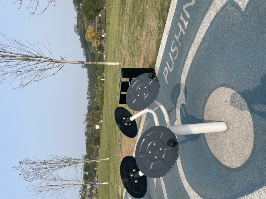 A white outdoor exercise machine with four black, circular, rotating plates is on a blue and gray surface with the word "PUSH" in white letters. The surface is surrounded by green grass. The scene is in a park, located in Chongqing, China, at the coordinates 29.332 latitude, 106.254 longitude. There is a tall bare tree to the left, a tall tree with green leaves to the right and a tree with orange leaves behind the machine. The sky is clear and blue. There is a black metal object next to the machine. The machine is made of white metal with a white pole in the middle. The plates are attached to the pole with metal arms. There are no people in the image.