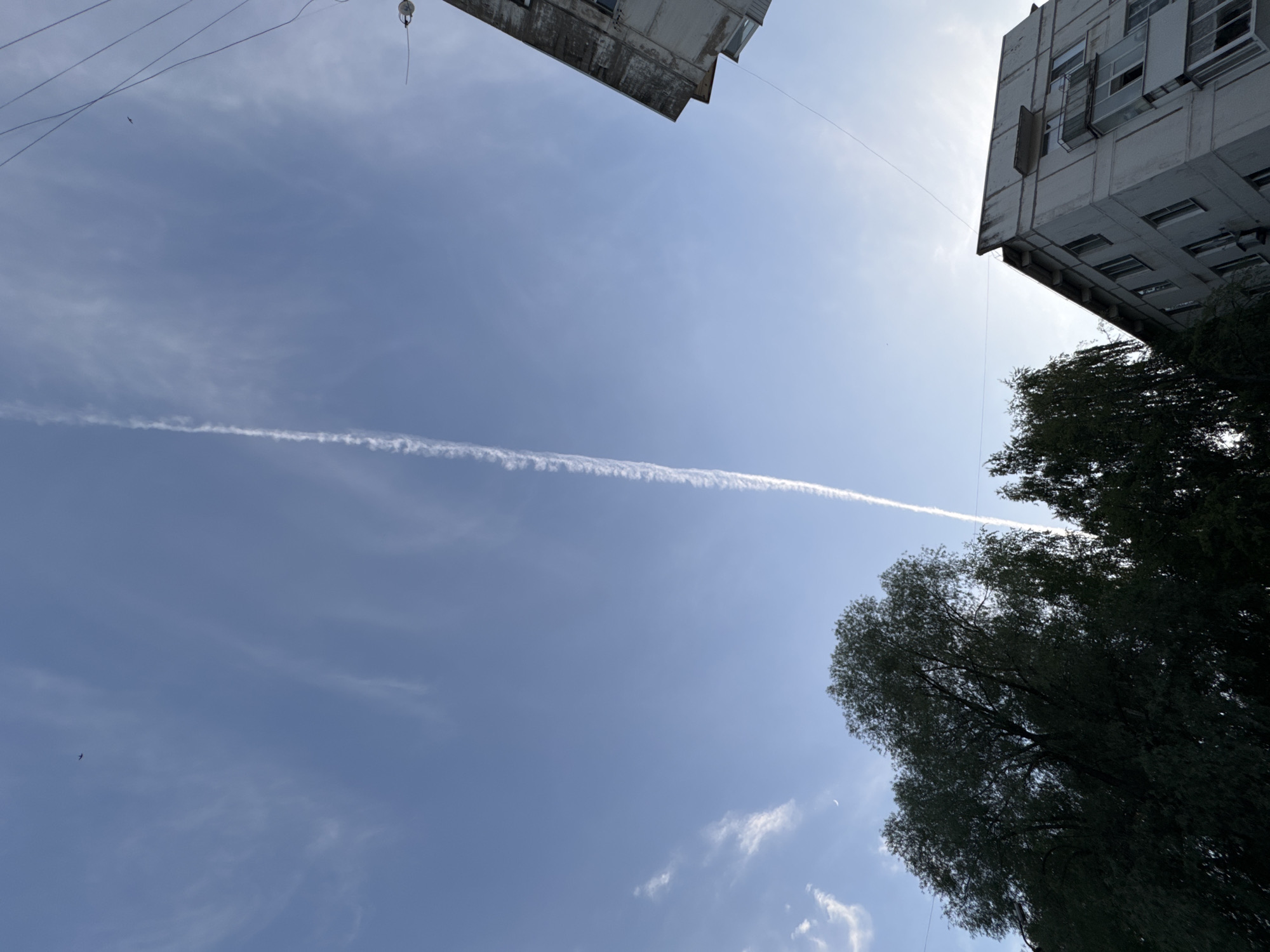 View looking up at the sky from Chaikovsky, Russia, with apartment buildings at the top left and right corners, a large tree at the lower right, and a contrail extending horizontally across the blue sky.
A powerline is visible between the two apartment buildings. A small bird is seen flying in the blue sky, and a small crescent moon is seen near the bottom of the image.