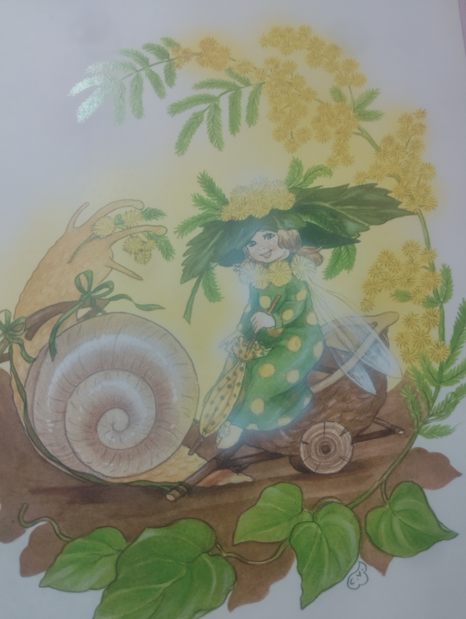 This is an illustration of a fairy riding on a snail. The fairy is wearing a green polka dot dress and a large leafy hat adorned with yellow flowers. She has translucent wings and is holding a small umbrella. The snail is large and its shell is prominent. The scene is framed by branches with yellow flowers and green leaves. The illustration is rendered in a soft, watercolor style. There is no discernible location in Lagos, Nigeria, or any urban elements present in the image. The environment depicted is natural and whimsical.