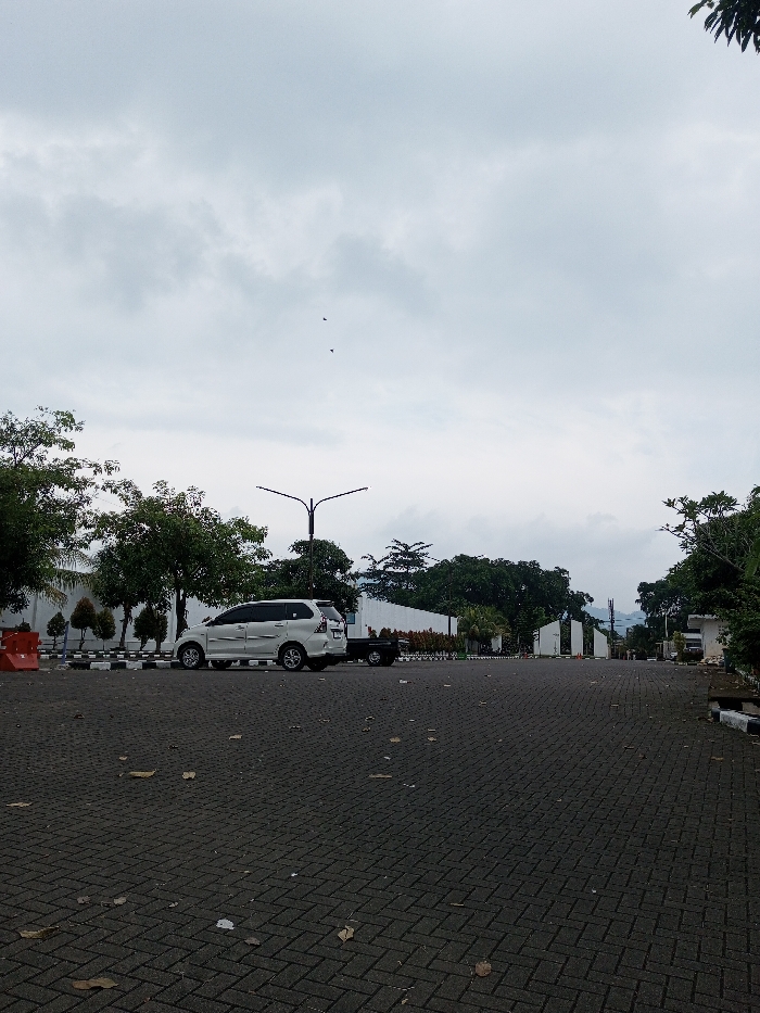 The scene depicts an outdoor paved area, presumably a roadway or parking lot, under an overcast sky in Daringbadi, India. The foreground consists of dark grey interlocking paver blocks with scattered dry leaves. A white multi-purpose vehicle (MPV) is parked on the left side of the paved surface, facing right, with its rear visible. A small, dark-colored utility trailer is attached to the rear of the white vehicle.
In the mid-ground, a black streetlamp with a dual light fixture stands centrally. Green trees and shrubs line both sides of the paved area, with more dense foliage on the left. Behind the vegetation on the left, a low white wall or barrier is visible, along with orange traffic barriers. Further down the paved area, white concrete structures, possibly gate pillars, are present, and buildings with white facades are partially visible through the trees on both sides. Two small, dark shapes, consistent with birds, are visible in the upper center of the overcast sky. No individuals are present in the image.