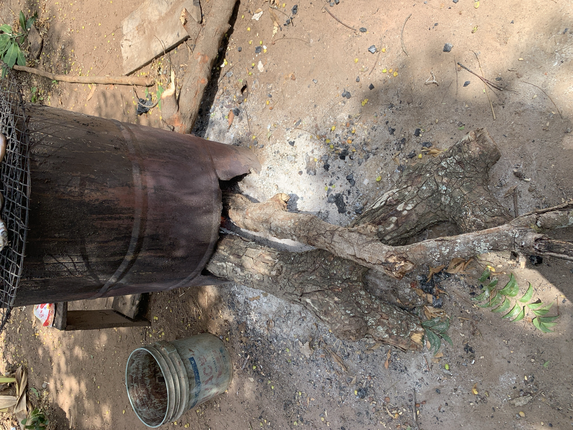 The image depicts an outdoor scene in Ilorin, Nigeria. A large, rusty, metal drum with a portion cut out is positioned horizontally. Logs are placed inside the drum, apparently for burning, with evidence of ash and charred remnants scattered around the base. To the left of the drum, a wire mesh structure is partially visible. In the lower-left corner, a used bucket is lying on its side. The ground is dirt, with scattered leaves, debris, and small yellow fruits. Patches of sunlight filter through the overhead canopy, creating shadows across the scene. No people are visible in the image.