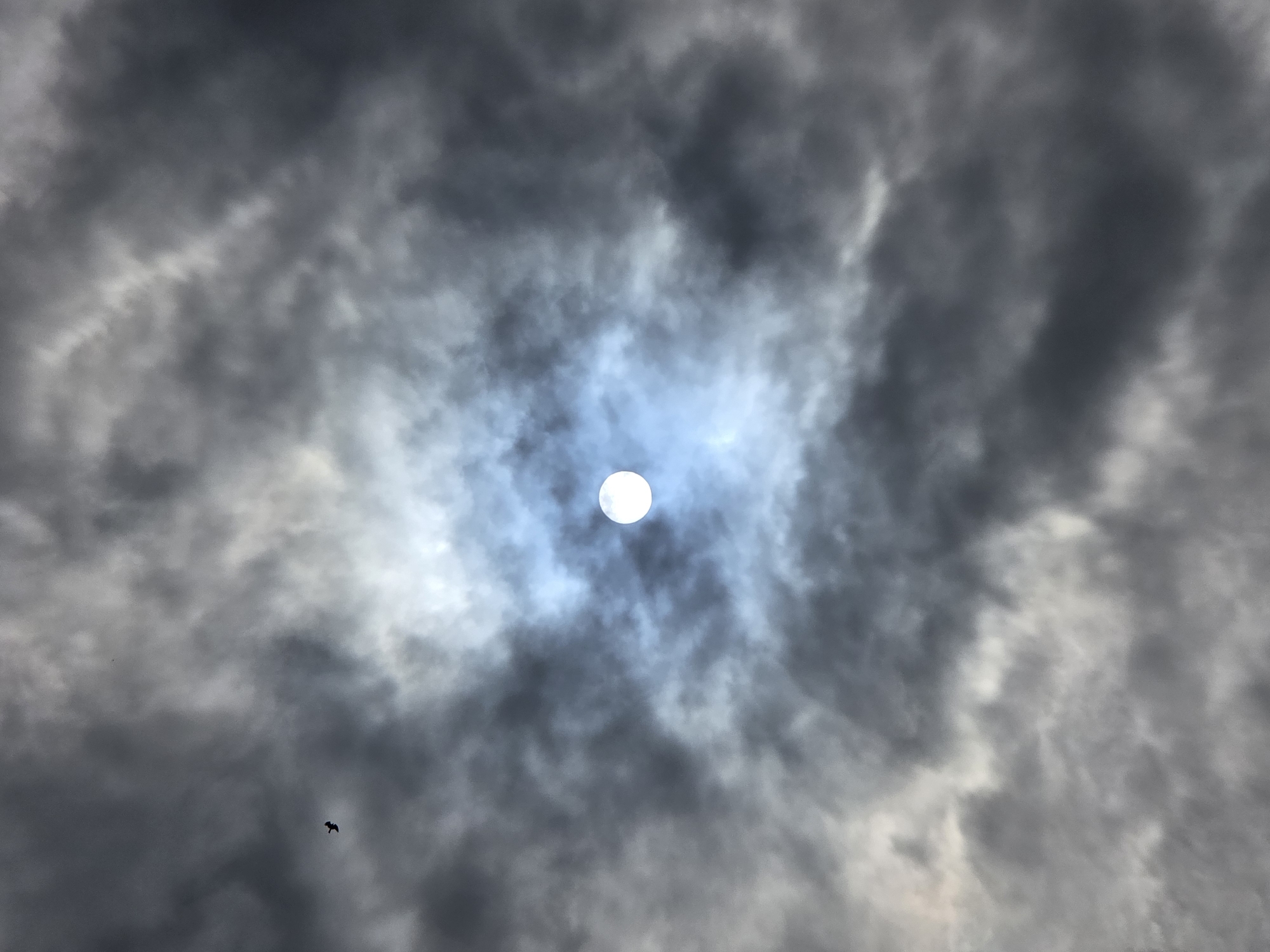 The image displays a view of the sky above Ермолаево, Russia, dominated by a dramatic cloudy atmosphere. In the center, the sun is visible as a bright, circular orb, partially obscured by wispy clouds that create a halo effect around it. The clouds are a mixture of dark grays and lighter whites and blues, suggesting a dynamic weather pattern. To the left of the sun, a small bird is captured in flight against the cloudy backdrop. The overall impression is one of an overcast day with a break in the clouds allowing the sun to shine through.