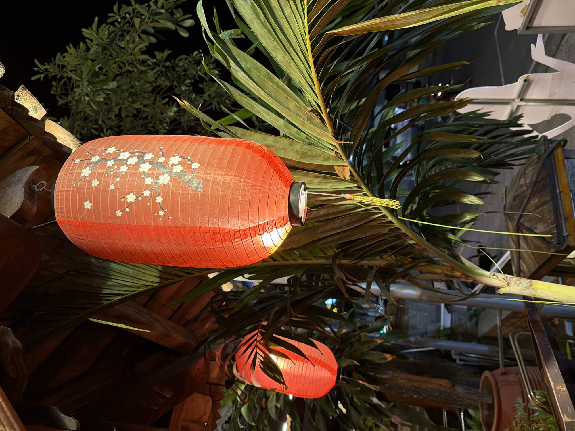 The image captures a nighttime scene in Nha Trang, Vietnam, characterized by the warm glow of traditional red lanterns. Two lanterns are visible: a larger one in the foreground, adorned with a delicate white cherry blossom branch design, and a smaller, partially obscured one further back. These lanterns are nestled amongst lush, tropical foliage, likely palm fronds, which cast dramatic shadows and create an intimate, atmospheric setting. The backdrop is dark, indicating it's nighttime, with hints of other lights and structures suggesting an outdoor, possibly commercial or residential, area. The overall mood is tranquil and inviting, with the soft light from the lanterns and the natural greenery contributing to a sense of peaceful ambiance. The image appears to be taken outdoors, possibly in a garden, patio, or an area decorated for an event or establishment.