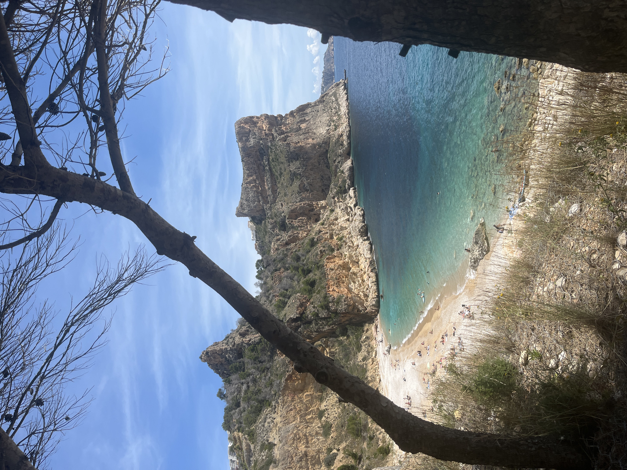 The image captures a scenic view of Cala del Moraig, a beach in El Poble Nou de Benitatxell (Benitachell), Spain. The perspective is elevated, as if taken from a cliffside or high vantage point, framing the beach through a natural opening between rocks or trees. A large cliff formation stretches along the left side, its rocky facade displaying layers of geological stratification. The beach itself is pebbled, with numerous people enjoying the sun and water. The water transitions in color from a light turquoise near the shore to a deeper blue further out. A bare tree branch extends from the left foreground, obscuring some of the view and creating a natural frame. The sky above is blue with thin, scattered clouds.