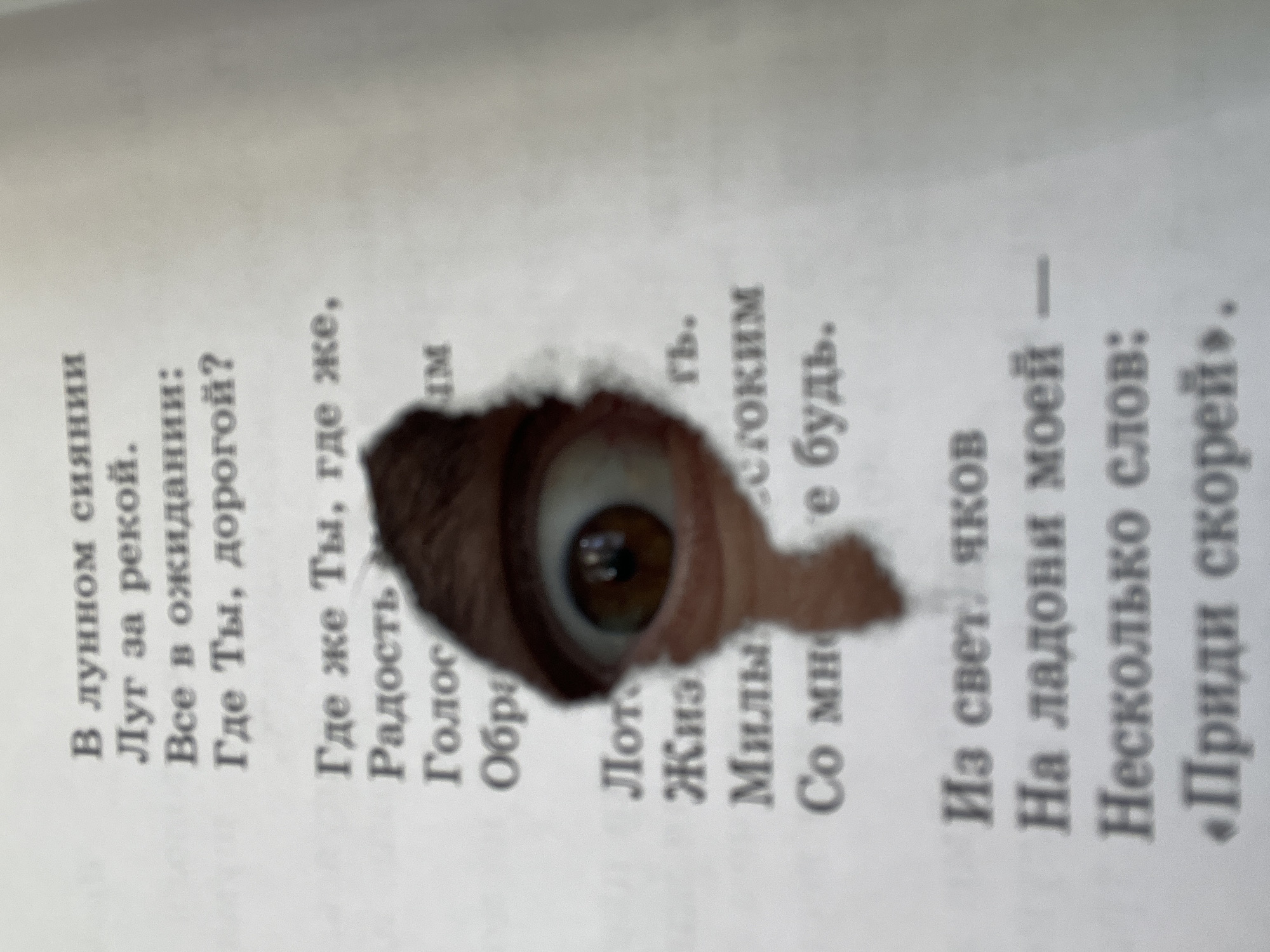 A close-up shot of a book with a hole punched through its pages, revealing a human eye staring out. The text visible on the pages appears to be in Russian. The eye is brown, with distinct details such as the iris and pupil clearly visible through the hole. There is no indication of the location of the image being in Chaikovsky, Russia.