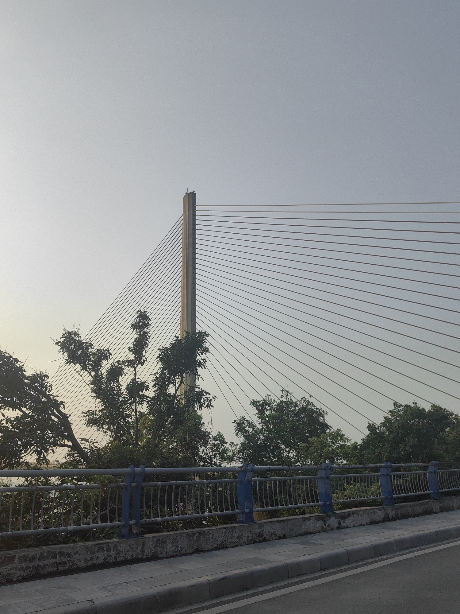 The image depicts a section of a cable-stayed bridge in Hong Gai Ward, Vietnam. The bridge's central pylon stands vertically, with numerous cables radiating outwards to support the bridge deck, which is not fully visible. A section of the bridge's railing, painted in blue, is visible in the foreground. Lush greenery and trees grow behind the railing, partially obscuring the base of the bridge's pylon and cables. A paved road with a curb runs along the bottom edge of the image. The sky above is a pale, washed-out color, suggesting overcast conditions or early morning/late evening light. No people are visible in the scene.