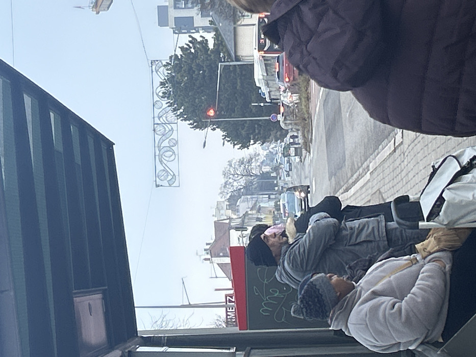 The image depicts a street scene at a bus stop in Schiltigheim, France, under an overcast sky. In the foreground, beneath a dark green bus shelter canopy, a woman in a grey puffer jacket and a patterned beanie is seated on a bench, with a tan cross-body bag. To her right, a man wearing a grey jacket and a dark beanie stands with his arms crossed. A partially visible individual in a dark jacket with a fur-lined collar is behind him. A white bag or trolley is on the ground beside the seated woman. A red bus stop information panel with green graffiti and partial text "METZ" is visible on the left. To the far right, the back of a person in a dark, quilted jacket partially obscures the view.
The midground reveals a two-lane road with traffic, where vehicles including a white bus and a red car are stopped at a red traffic light on the right side. A large evergreen tree stands near the traffic light pole. A light-colored decorative banner featuring circular and wavy designs hangs across the street above the vehicles. The background consists of residential buildings, some with red roofs, and mostly bare trees lining the street, receding into the distance.