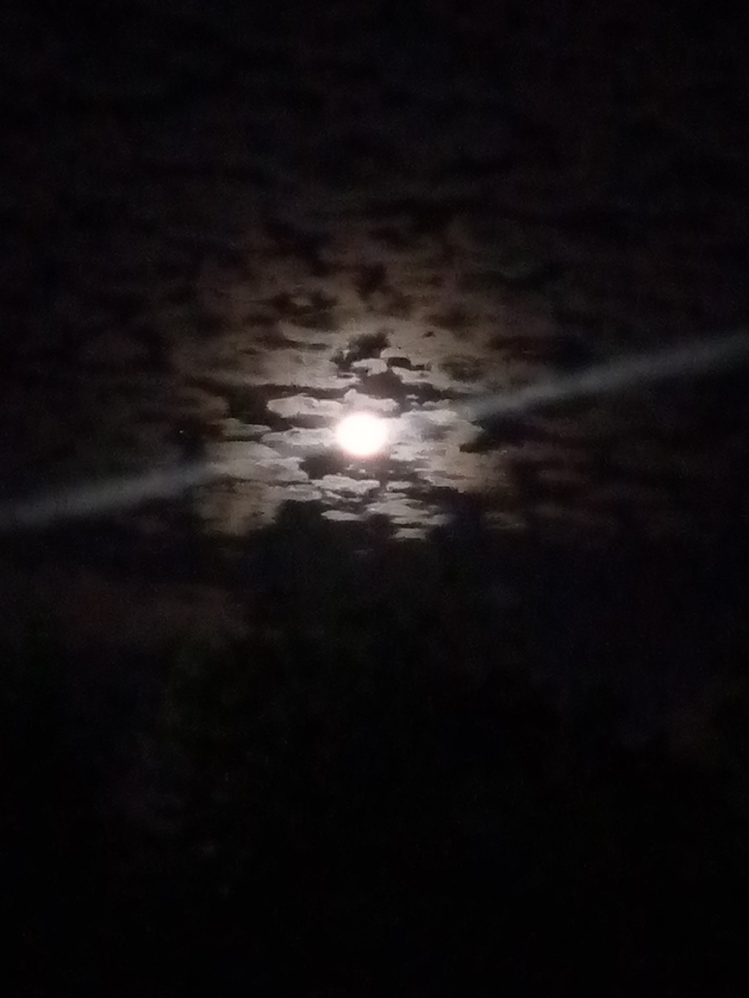 The image shows a night scene with a bright moon partially obscured by clouds. A faint light streak stretches diagonally across the frame from the left to the right of the moon. In the foreground, there is an indistinct, dark area, likely representing trees or foliage. There are no visible people. The location in Juan Griego, Venezuela, is not identifiable from the image alone.