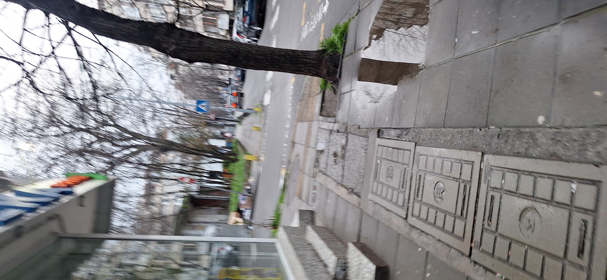 The image captures a street scene in Burgas, Bulgaria on a wet, overcast day. A bare tree trunk dominates the foreground, its branches extending upward and across the frame. The street runs parallel to the tree, marked with yellow lines and showing visible tire tracks and reflections. Several cars are parked along the street. On the sidewalk, a row of square manhole covers with "K" markings are visible. A building with a partially obscured storefront is on the left side of the frame. The sidewalk is wet, with puddles reflecting the sky and nearby objects.