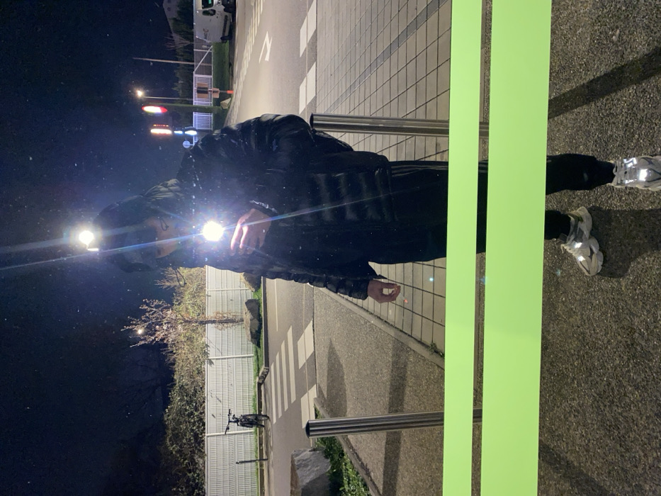 A nighttime image depicts the reflection of a lone individual standing in Hœnheim, France. The subject, visible from approximately the waist up, wears a black puffer jacket, dark pants (possibly with white stripes on the side), and light-colored athletic shoes featuring reflective elements. They are holding a smartphone, its activated flash creating a bright glare that obscures the face and upper torso. A prominent horizontal green band crosses the lower portion of the reflective surface in the immediate foreground.
Behind the reflection, two silver bollards are positioned. The background reveals a dark night sky over an urban or semi-urban street scene. To the left, a dark-colored bicycle is parked next to a curb, behind which a light-colored slatted fence runs horizontally. Beyond the fence, bushes and a small, bare-branched tree are visible. A pedestrian crosswalk is marked on the asphalt road, which stretches towards the right side of the frame. Multiple streetlights illuminate the area, with one overhead light source creating a distinct vertical lens flare above the individual's reflection. Further in the distance on the right, illuminated red and yellow signs, possibly from a commercial establishment, are visible along with a white utility van. Large, natural rocks are integrated into the landscape bordering the curb.