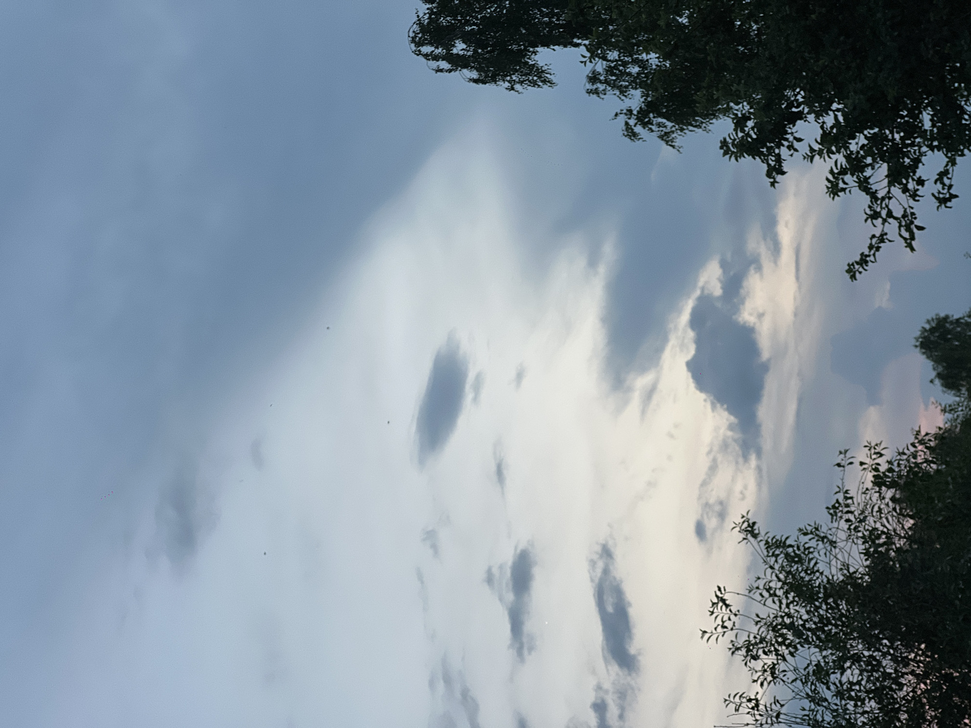This is a low-angle, outdoor, vertical photograph taken in the city of Pigozino, Russia, during what appears to be dusk or dawn. The sky dominates the frame, filled with a mix of light and dark grey clouds, with hints of pale pink and yellow near the horizon, suggesting the presence of twilight. A few very small, distant objects, potentially birds or insects, are visible against the sky. In the foreground, dark silhouettes of trees with dense foliage frame the bottom left and right edges of the image. The overall atmosphere is serene and natural.