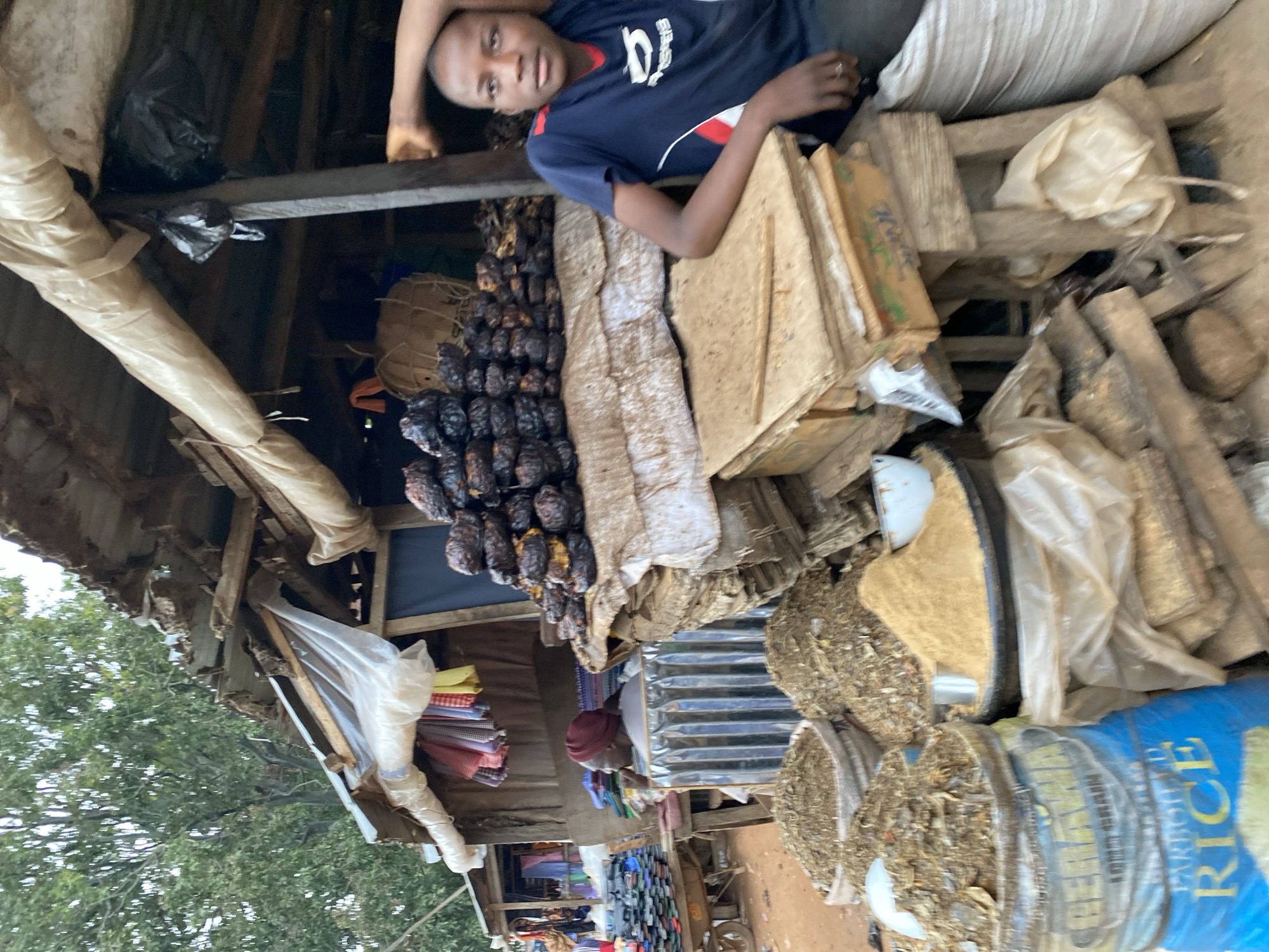 In the city of Bukuru, Nigeria, a young boy wearing a dark blue t-shirt with red and white trim stands at a market stall. He is positioned behind a stack of wooden boxes, with his right arm resting on a crate. The market is outdoors, under a makeshift roof constructed from corrugated metal and plastic sheeting. To the left of the boy, a woman wearing a red headscarf is partially visible, seated behind a corrugated metal barrier. The stall is filled with various goods, including sacks of dried food products, stacks of dried fish or meat, and a large blue sack labeled "PARBOILED RICE" in yellow lettering. In the background, a cart is laden with colorful textiles, and trees are visible through gaps in the stall's structure. The overall impression is one of a busy, bustling marketplace.