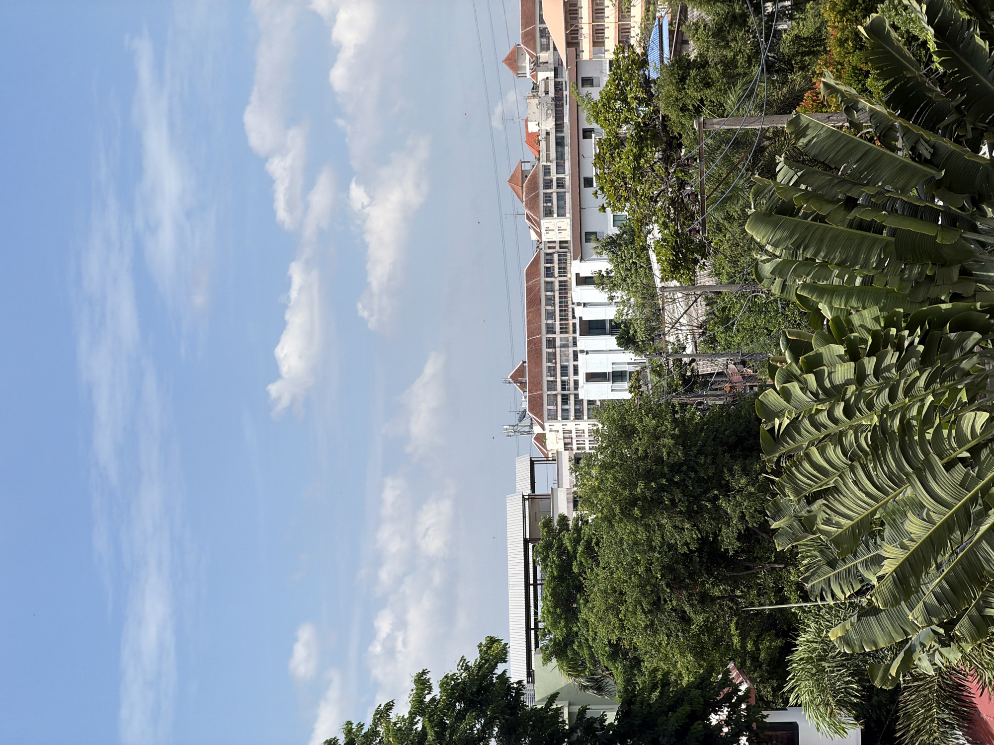 The image captures a daytime view of a city skyline in Bangkok, Thailand, characterized by a blend of lush greenery and urban architecture under a partly cloudy sky. In the foreground, large, tropical banana leaves dominate the lower portion of the frame, their broad, ribbed surfaces angled upwards and towards the viewer, creating a naturalistic curtain. Behind these leaves, a dense canopy of various green trees forms a middle ground, interspersed with the tops of several buildings.
The buildings are a mix of styles, suggesting a developed urban area. Some structures feature white facades and modern architectural lines, while others display traditional terracotta-tiled roofs with peaked designs, typical of many buildings in Southeast Asia. One notable building has a distinctive white, angled roof structure. Power lines and utility poles are visible throughout the middle ground, indicating the presence of essential infrastructure.
Further in the distance, the city expands with more buildings of varying heights and designs. The sky above is a bright blue, scattered with fluffy white cumulus clouds, hinting at fair weather. There are no discernible people or active human subjects in the frame; the scene is a static depiction of the urban and natural landscape. The overall impression is one of a bustling city where nature and development coexist, viewed from a slightly elevated perspective.