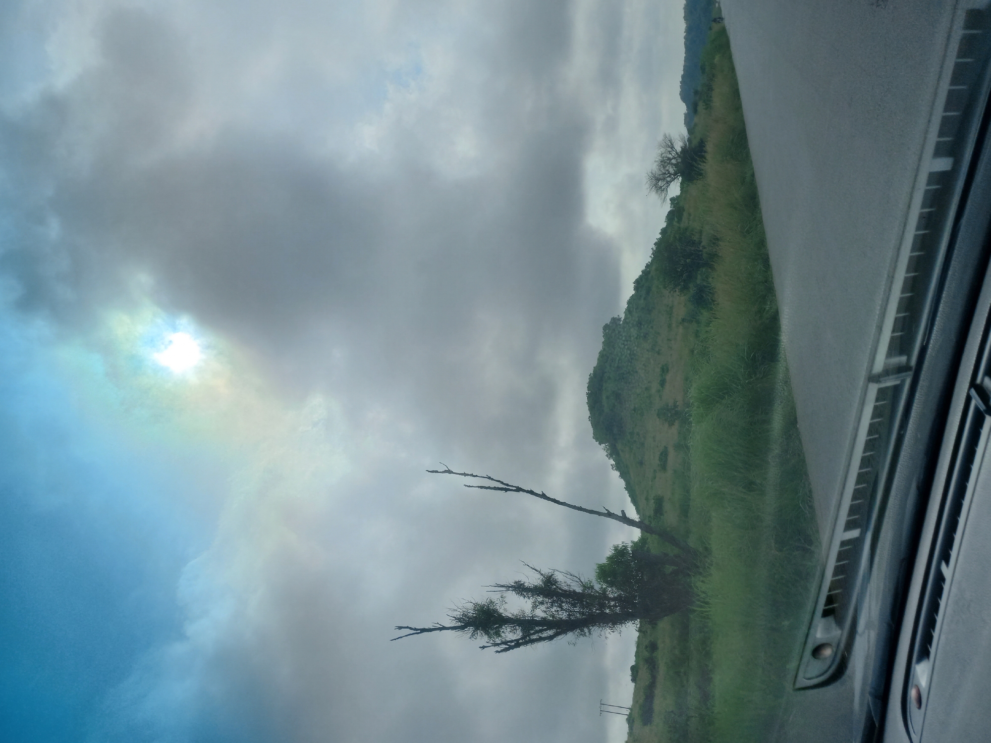 A road runs through a green landscape under a cloudy sky. The sky is partially obscured by dark clouds, but a bright patch of sun with a rainbow halo is visible towards the top left. The landscape is characterized by rolling hills covered in lush green grass and scattered trees. In the foreground, the edge of a car's windshield wipers is visible, indicating the perspective is from inside a moving vehicle. On the left side of the road, there are two prominent, bare trees with intricate branches reaching upwards, one of which appears to have a parasitic plant growing on it. In the distance, a lone figure on a motorcycle is visible on the right side of the road, heading away from the viewer.