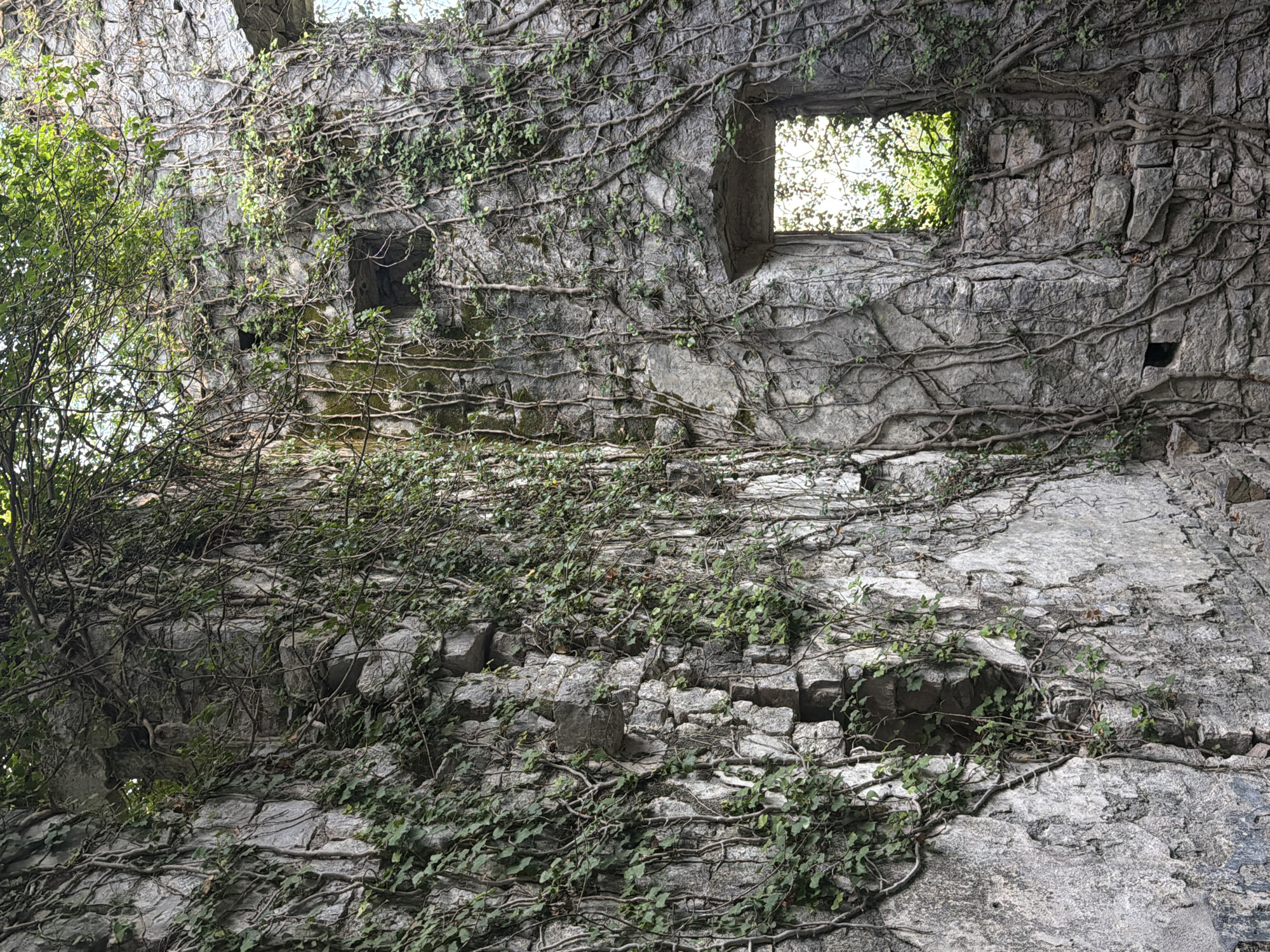 The image depicts a close-up view of a weathered stone wall covered in ivy. The wall is constructed from rough-hewn, irregularly shaped stones, giving it a rustic and ancient appearance. Thick vines and smaller green ivy leaves intricately weave across the stone surface, creating a dense, organic texture.
Two rectangular openings, resembling windows or doorways, interrupt the stone facade. The opening on the right is larger and appears to look out onto a bright, sunlit area with visible greenery beyond. The opening on the left is smaller and darker, suggesting it leads into a shadowed interior or a less exposed area. The stone itself shows signs of age and erosion, with some areas appearing smoother and others more jagged. The overall impression is one of an abandoned or overgrown structure, possibly a ruin or an old building where nature has begun to reclaim the man-made elements.
The lighting suggests it is daytime, with light filtering through the right-hand opening. The weather appears to be clear, given the brightness of the light. The abundance of ivy indicates a temperate climate and a period of growth. The scene evokes a sense of history, decay, and the persistent power of nature. No people or text are visible in the image.