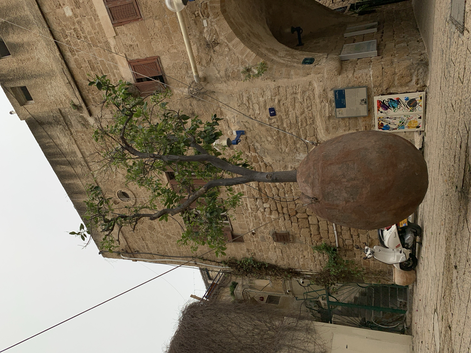 The image shows a street scene in Jaffa, an ancient port city now part of Tel Aviv, Israel. The dominant feature is a suspended sculpture: a tree emerging from a large, dark, spherical structure. The backdrop is a weathered stone building with arched recesses, small shuttered windows, and various utility fixtures. A white scooter is parked near the base of the sculpture. Ivy-covered structures, and a green metal gate can be seen near the bottom of the picture. The sky is overcast.