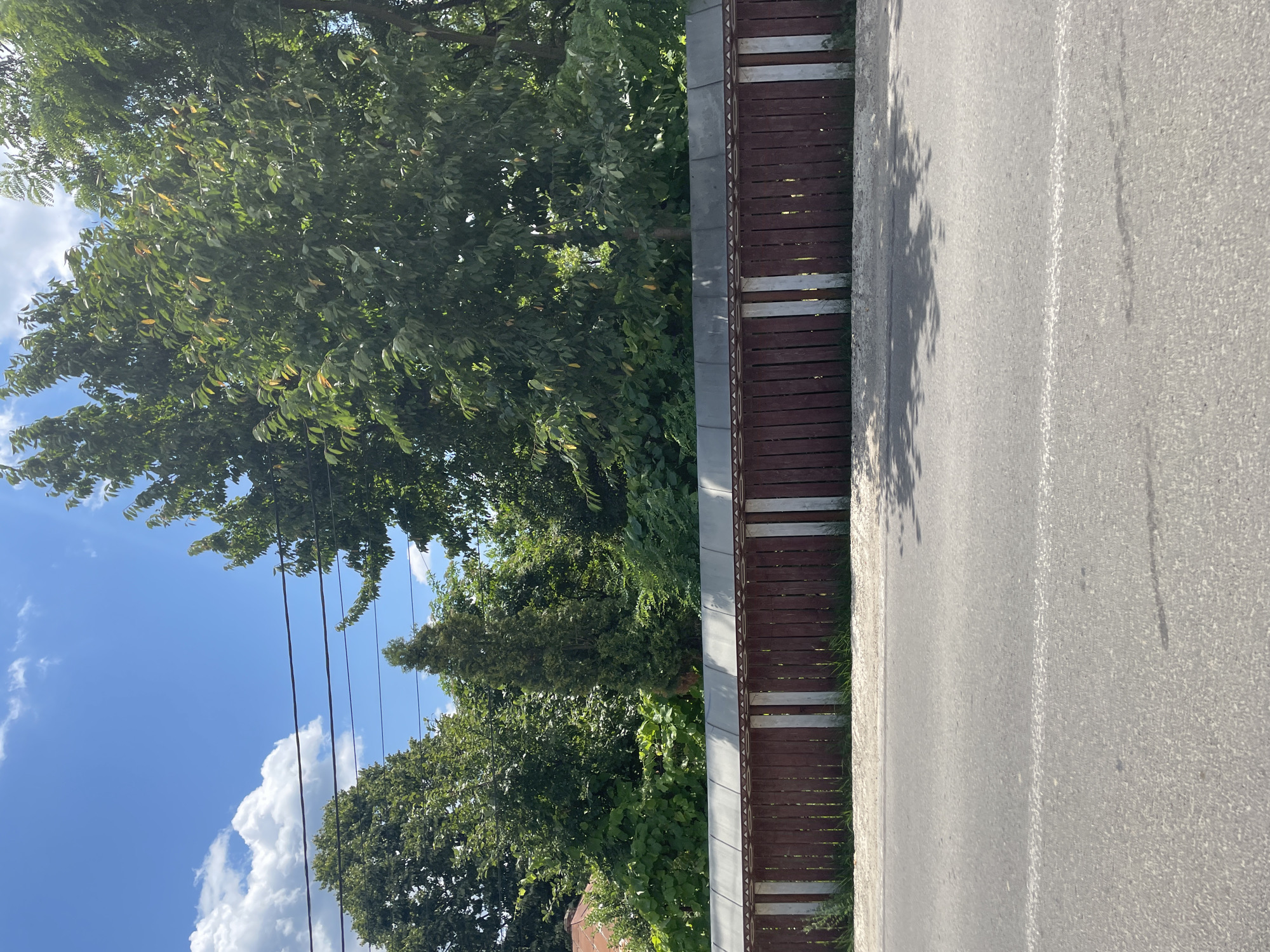 The image depicts a roadside scene in Bârnova, Romania, under a bright, partly cloudy sky. In the foreground, a paved asphalt road stretches across the frame, with a faint white line marking a lane division. The road surface exhibits some wear and tear. Adjacent to the road is a strip of ground covered with grass and some sparse weeds.
Dominating the middle ground is a dark brown wooden fence, approximately 1.5 meters high, with lighter colored vertical posts at regular intervals. The fence is topped with a dark grey metal or composite capping. Behind the fence, a dense line of lush green trees and foliage forms a natural backdrop. Among the trees, a tall, slender evergreen tree stands out, positioned slightly to the left of center. The trees are varied in species and density, with some appearing to be deciduous with broad leaves, and others with finer foliage. The overall impression is that of a residential or semi-rural area bordering a street. Overhead, thin power lines traverse the sky, intersecting with the tree canopy. The lighting suggests it is daytime, likely late morning or early afternoon, given the clear sky and the shadows cast by the trees on the road. No people or vehicles are visible in the scene.