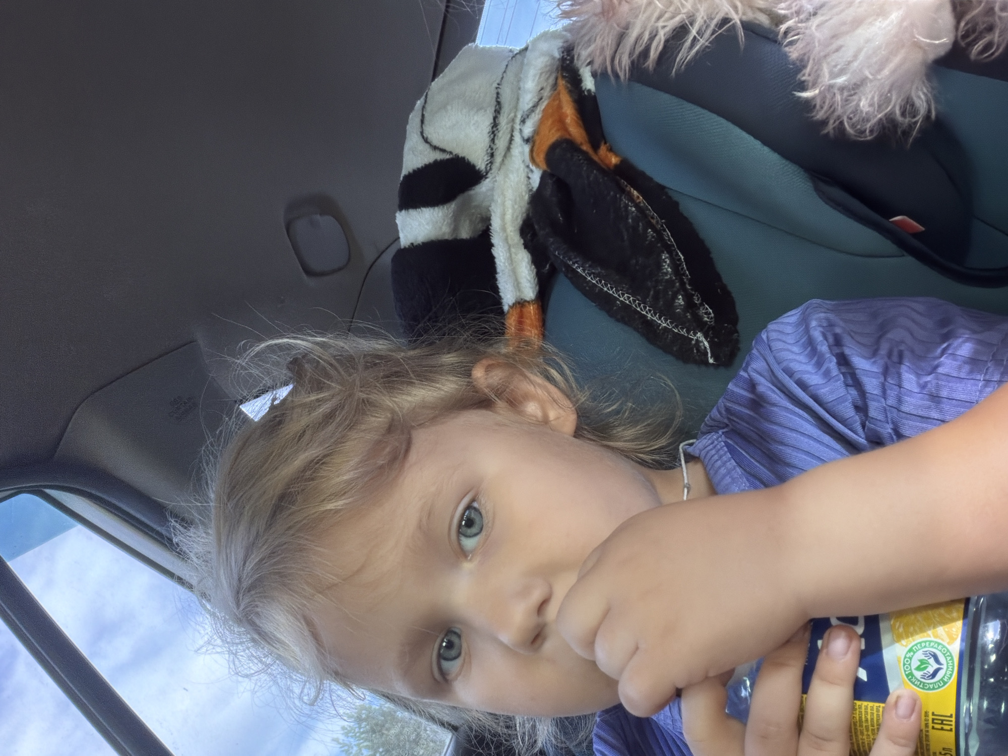 A close-up, over-the-shoulder shot captures a young child with blonde hair, wearing a blue ribbed shirt, in the passenger seat of a car. The child is holding a clear plastic bottle of drink to their mouth. In the background, a fluffy stuffed toy, resembling a bird or penguin with black, white, and orange markings, rests on the child's car seat. The car interior, including the headrest and ceiling, is visible, as is a portion of the sky and trees through the car window. The image appears to have been taken in or near Novoye Mavrino, Russia, given the presence of the Russian language on the drink bottle's label.