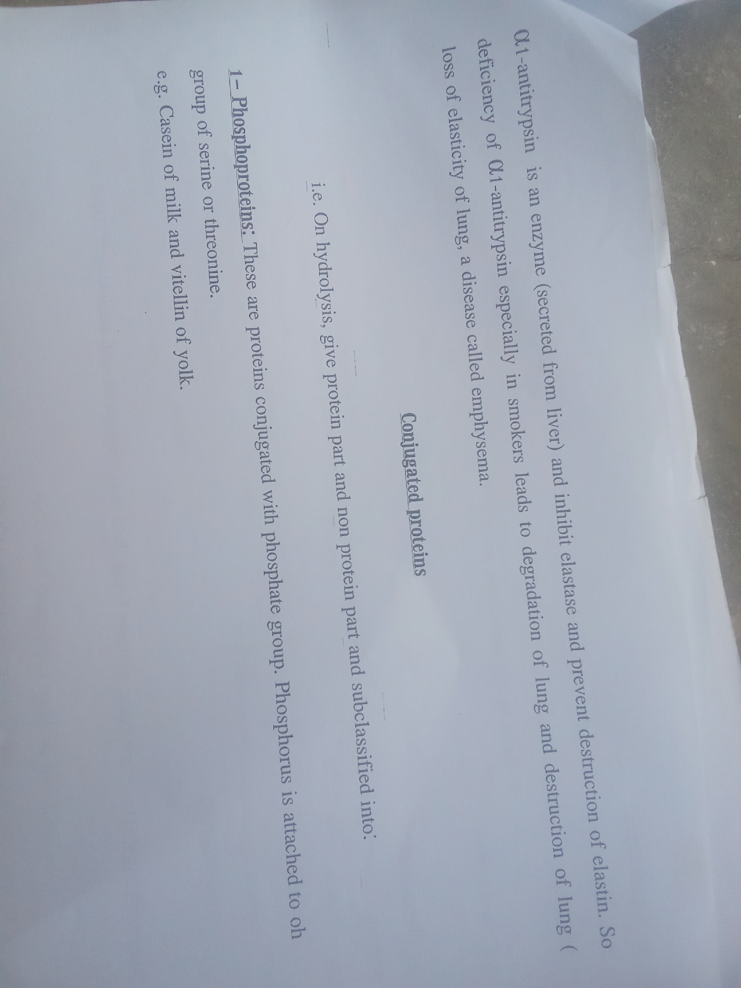The image contains text that appears to be from a document or book. The text is oriented vertically and is written in English. Some of the text visible includes "Q1-antitrypsin is an enzyme", "secreted from liver", "inhibit elastase", "degradation of lung", "loss of elasticity of lung", "a disease called emphysema", "Phosphorproteins", "On hydrolysis", "give protein part and non protein part", "subclassified into", and "Phosphorus is attached to oh group of serine or threonine". There is no information about the city of Jalingo, Nigeria, or any people or actions related to that location. The image is a close-up of printed text on a white background, possibly a page from a book or document, with some shadows visible.