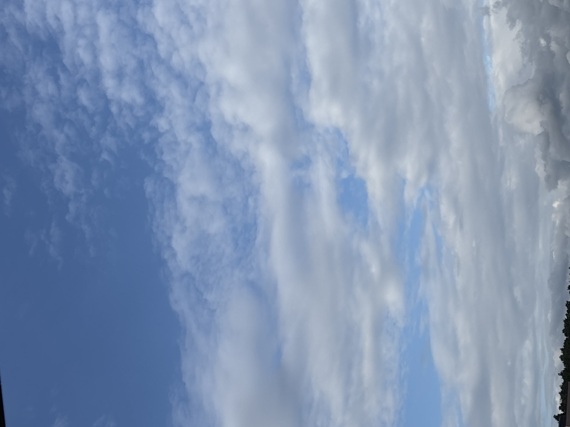 The image shows a cloudy sky over a treeline, likely on the outskirts of Zvenigorod, Russia. The sky is a mix of deep blue and various shades of white and gray clouds. Some clouds are wispy and scattered, while others are more dense and layered. The treeline at the bottom of the image appears dark green and dense, with hints of buildings or rooftops visible just behind it. The lighting suggests it is daytime, possibly late afternoon or early morning, with diffused sunlight. There are no people or specific objects of interest visible in the sky or on the ground, the focus is on the atmospheric conditions and the natural landscape.