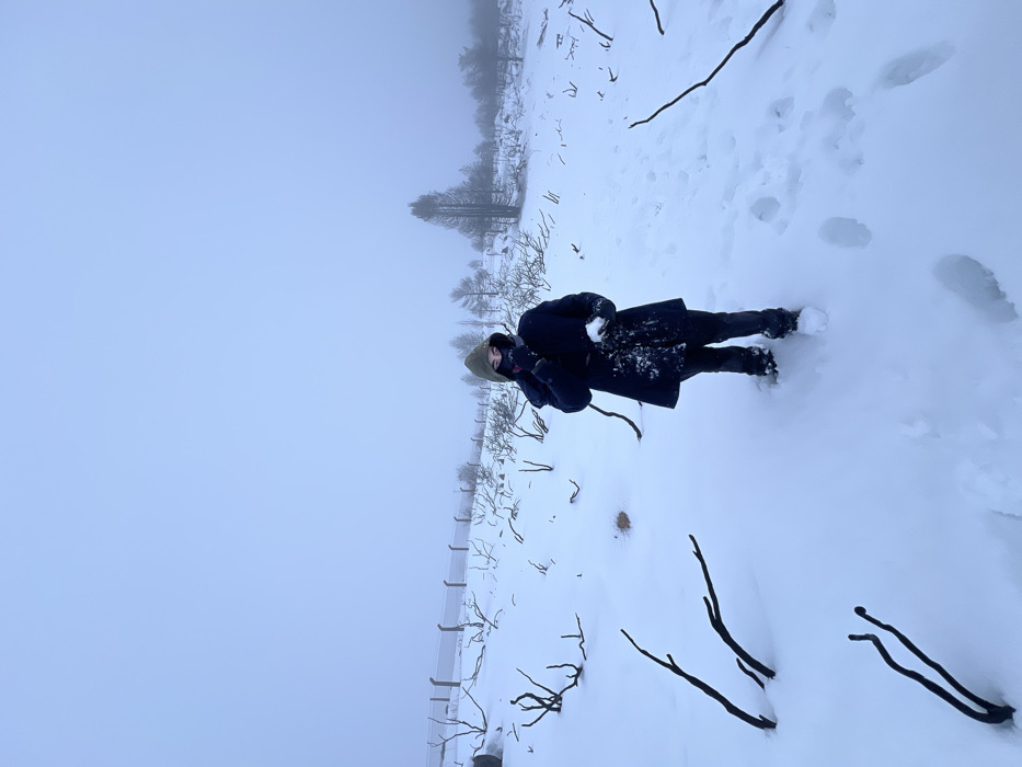 A person in a dark coat and light-colored hat is throwing a snowball in a snowy, overcast landscape. The ground is covered in thick snow with visible footprints. Scattered bare branches protrude from the snow. A sparse line of trees and a wire fence are visible in the background, partially obscured by fog. The overall atmosphere is cold and misty.